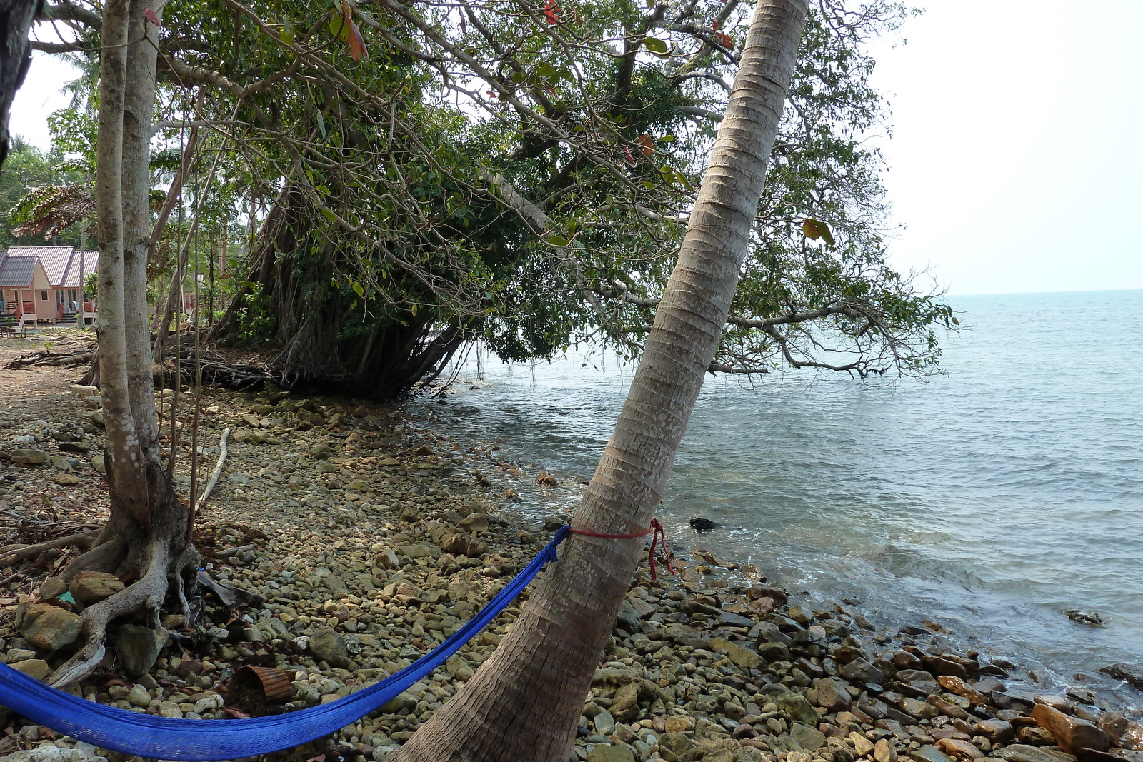 รูปถ่าย ไทย(Thailand) เกาะช้าง(Ko Chang) หาดคลองพร้าว(Klong Prao beach) 2011-02 59