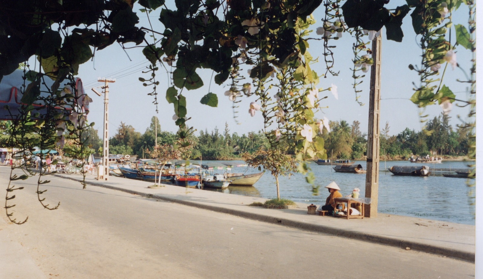 รูปถ่าย เวียดนาม(Vietnam) 1996-03 94