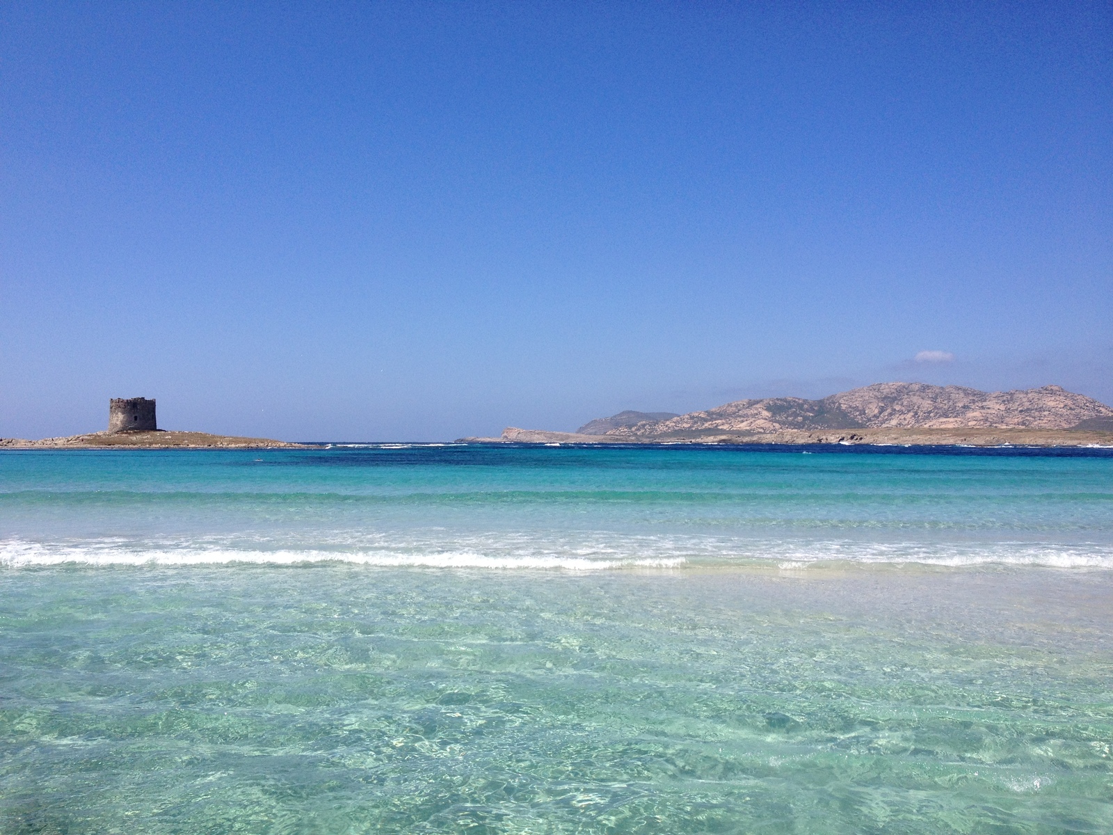 รูปถ่าย อิตาลี(Italy) ซาร์ดิเนีย(Sardinia) แหลมกาโปเดลฟัลโกเน(Capo del Falcone) 2015-06 9