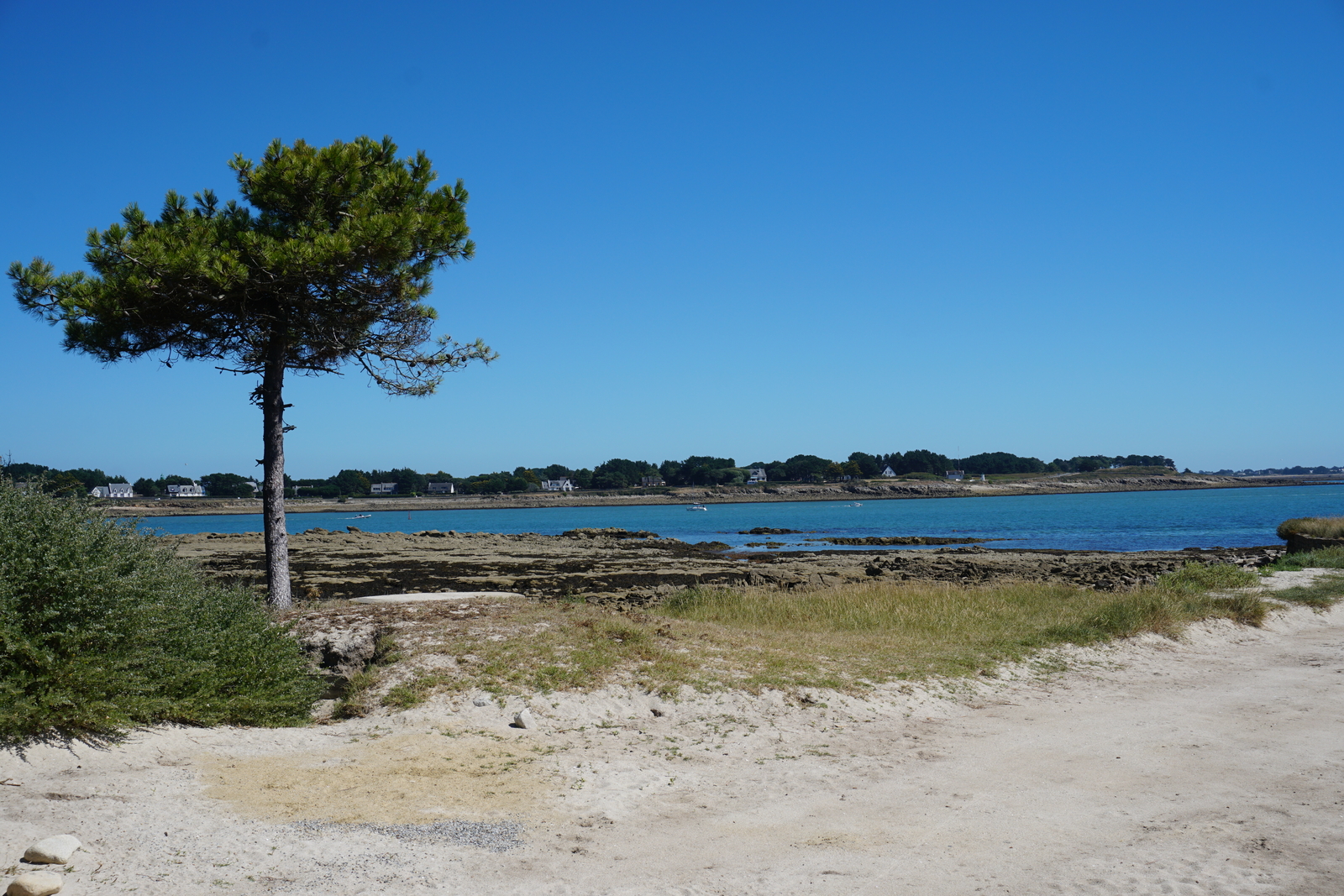 รูปถ่าย ฝรั่งเศส(France) ลาทรีนีเต-ซูร์-แมร์(La Trinite-sur-Mer) 2016-08 27