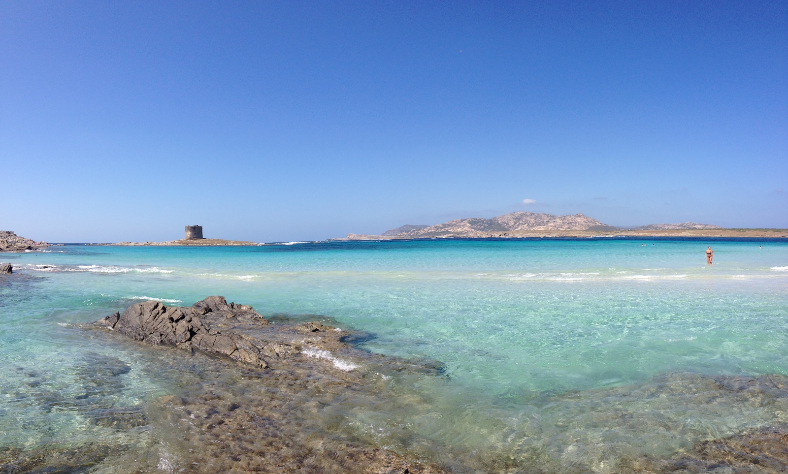 รูปถ่าย อิตาลี(Italy) ซาร์ดิเนีย(Sardinia) แหลมกาโปเดลฟัลโกเน(Capo del Falcone) 2015-06 74