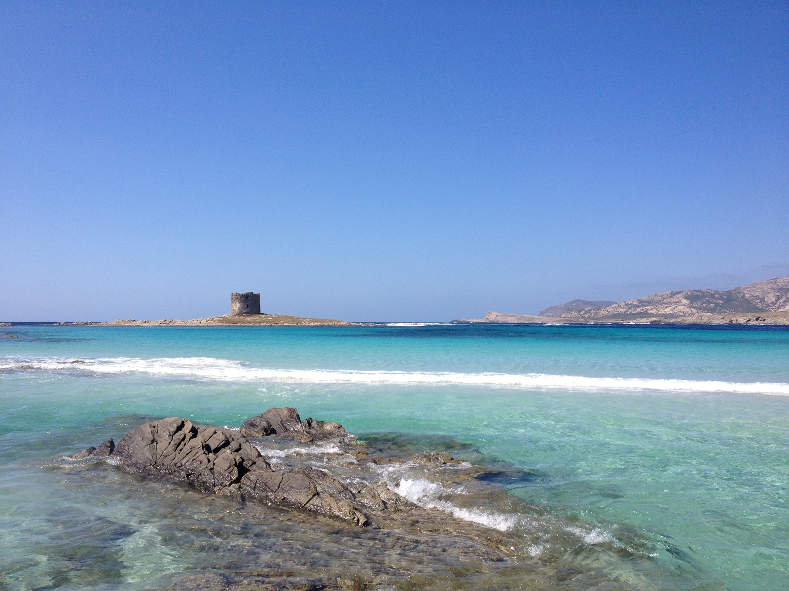 รูปถ่าย อิตาลี(Italy) ซาร์ดิเนีย(Sardinia) แหลมกาโปเดลฟัลโกเน(Capo del Falcone) 2015-06 66