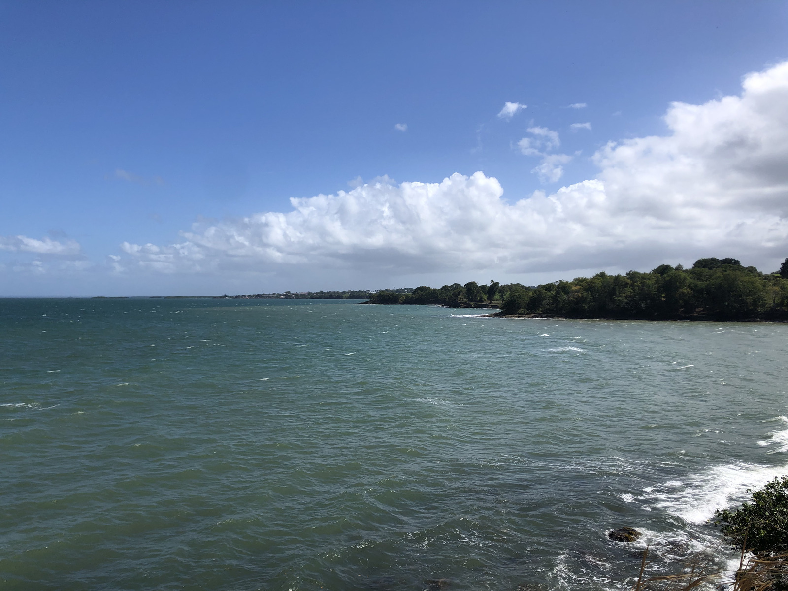 รูปถ่าย กวาเดอลูป(Guadeloupe) แซ็นต์โรส(Sainte Rose) 2021-02 4
