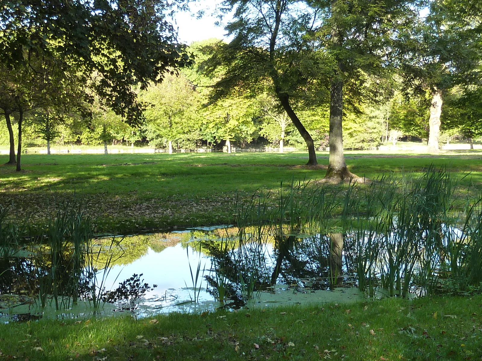 รูปถ่าย ฝรั่งเศส(France) ช็องตีญี(Chantilly) 2009-10 99