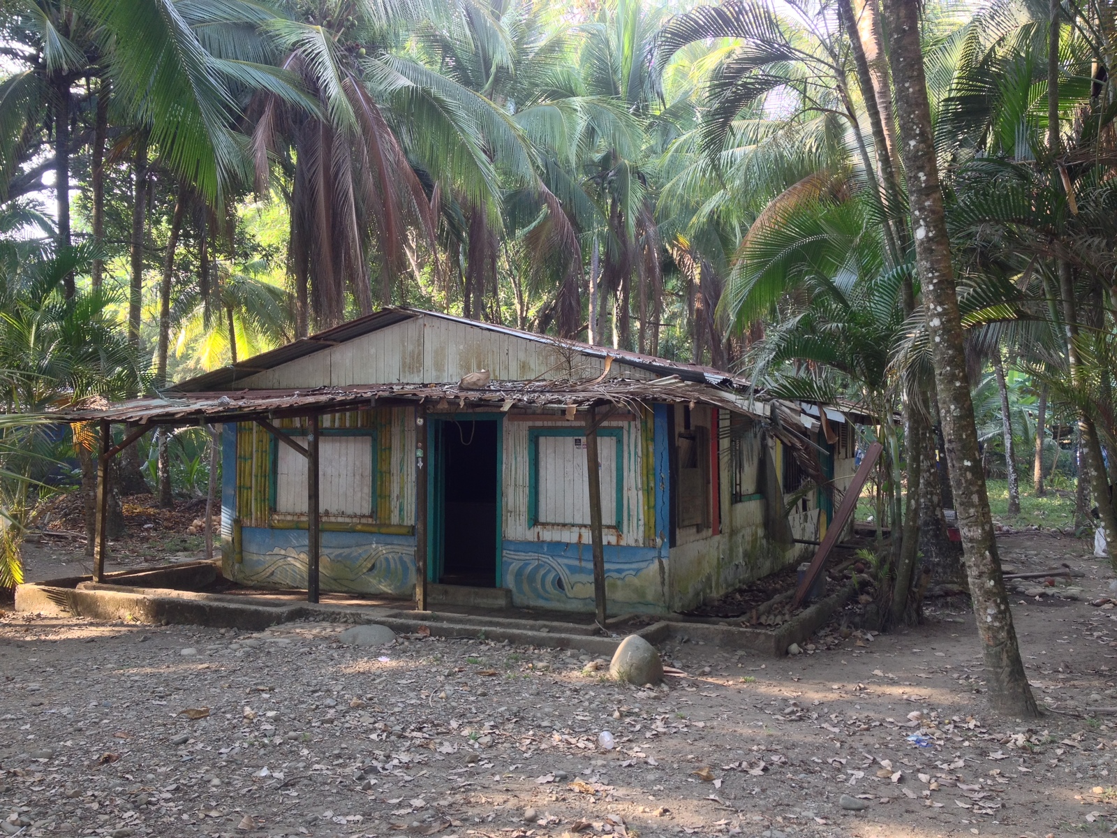 รูปถ่าย คอสตาริกา(Costa Rica) โดมินิกัล(Dominical) 2015-03 112