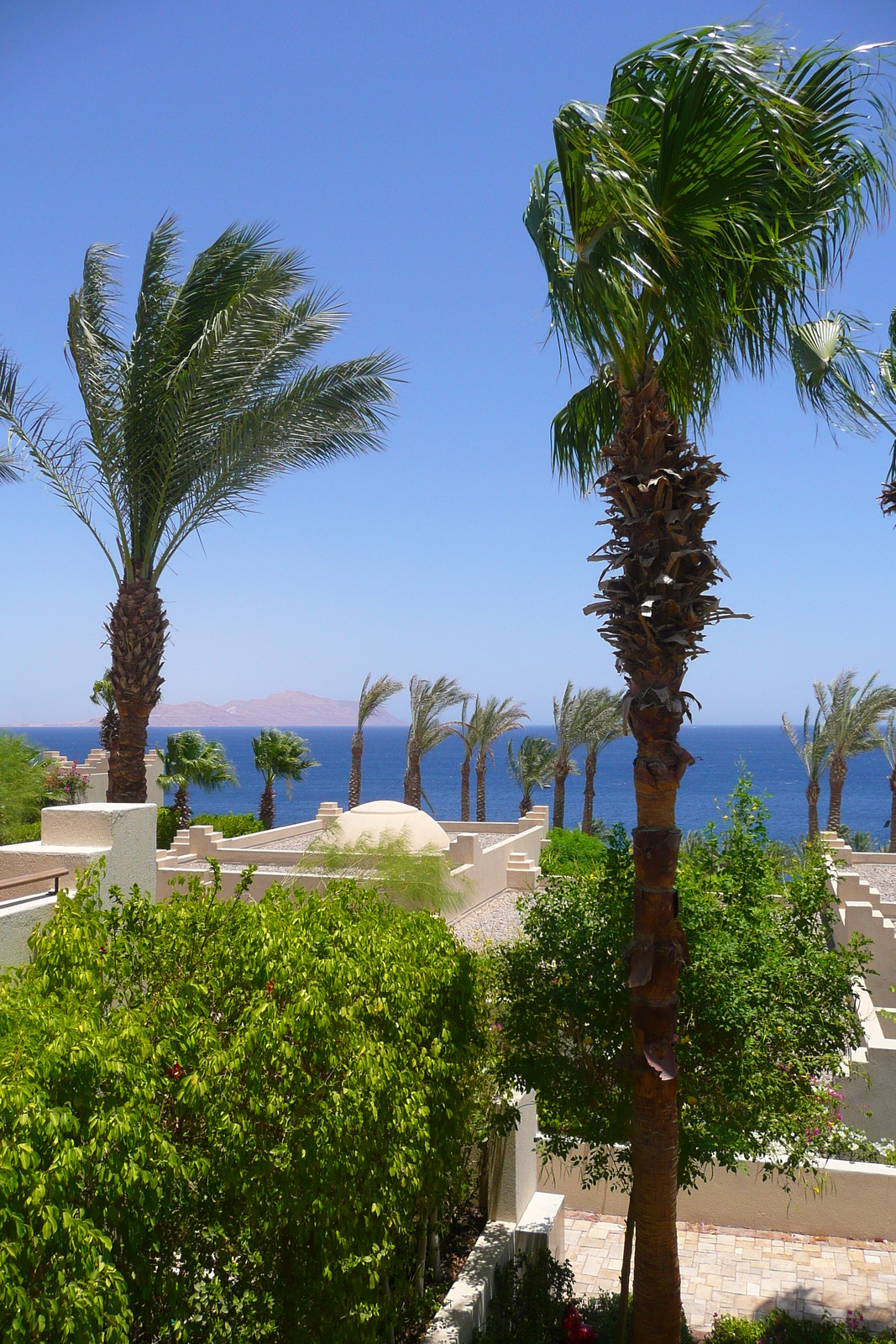 รูปถ่าย อียิปต์(Egypt) ชาร์มเอลชีค(Sharm el Sheikh) โรงแรมโฟร์ซีซันส์(Four Seasons Hotel) ห้องพักโฟร์ซีซันส์ ชาร์มเอลชีค(Room Four Seasons Sharm el Sheikh) 2008-06 13