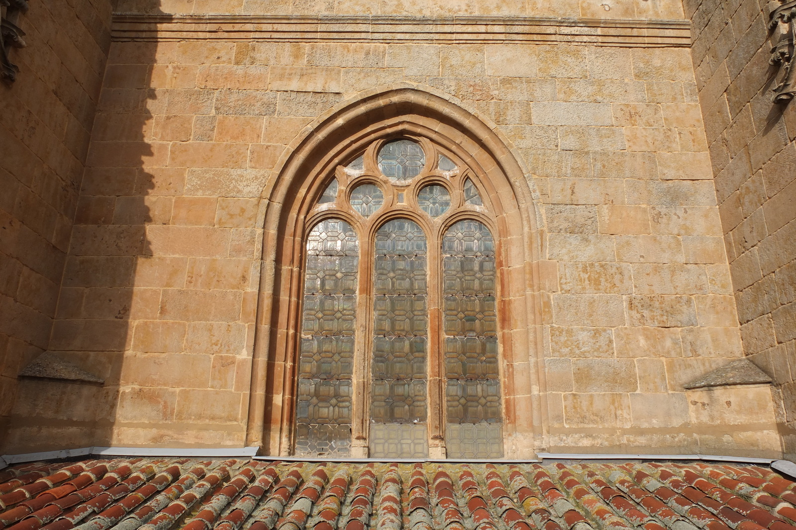 รูปถ่าย สเปน(Spain) ซาลามังกา(Salamanca) 2013-01 124