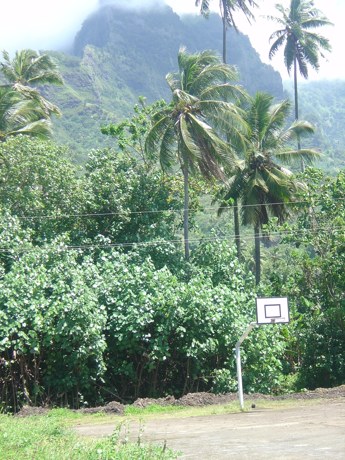รูปถ่าย เฟรนช์โพลี่นีเซีย(Polynesia) หมู่เกาะมาร์เคซัส(Marquises) 2006-04 1