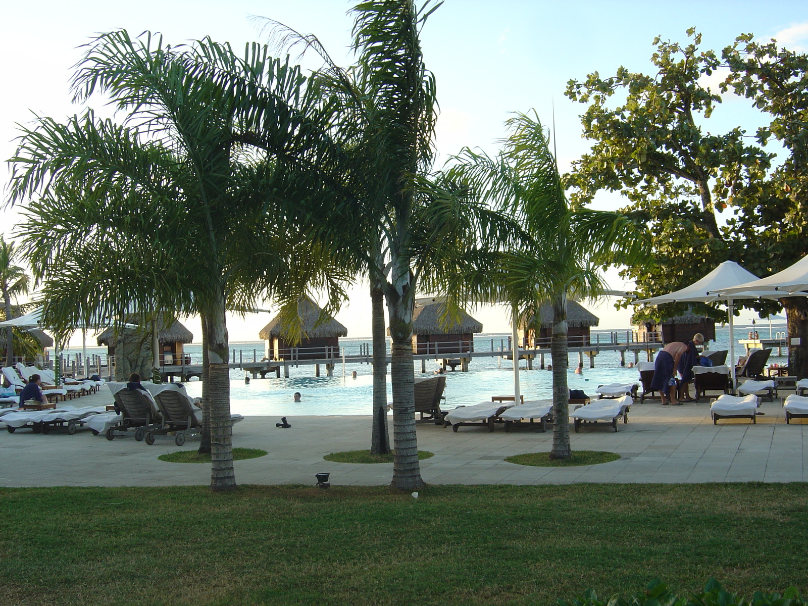 รูปถ่าย เฟรนช์โพลี่นีเซีย(Polynesia) มูเรีย(Moorea) โรงแรมเพิร์ลรีสอร์ต(Pearl Resort Hotel) 2006-04 23