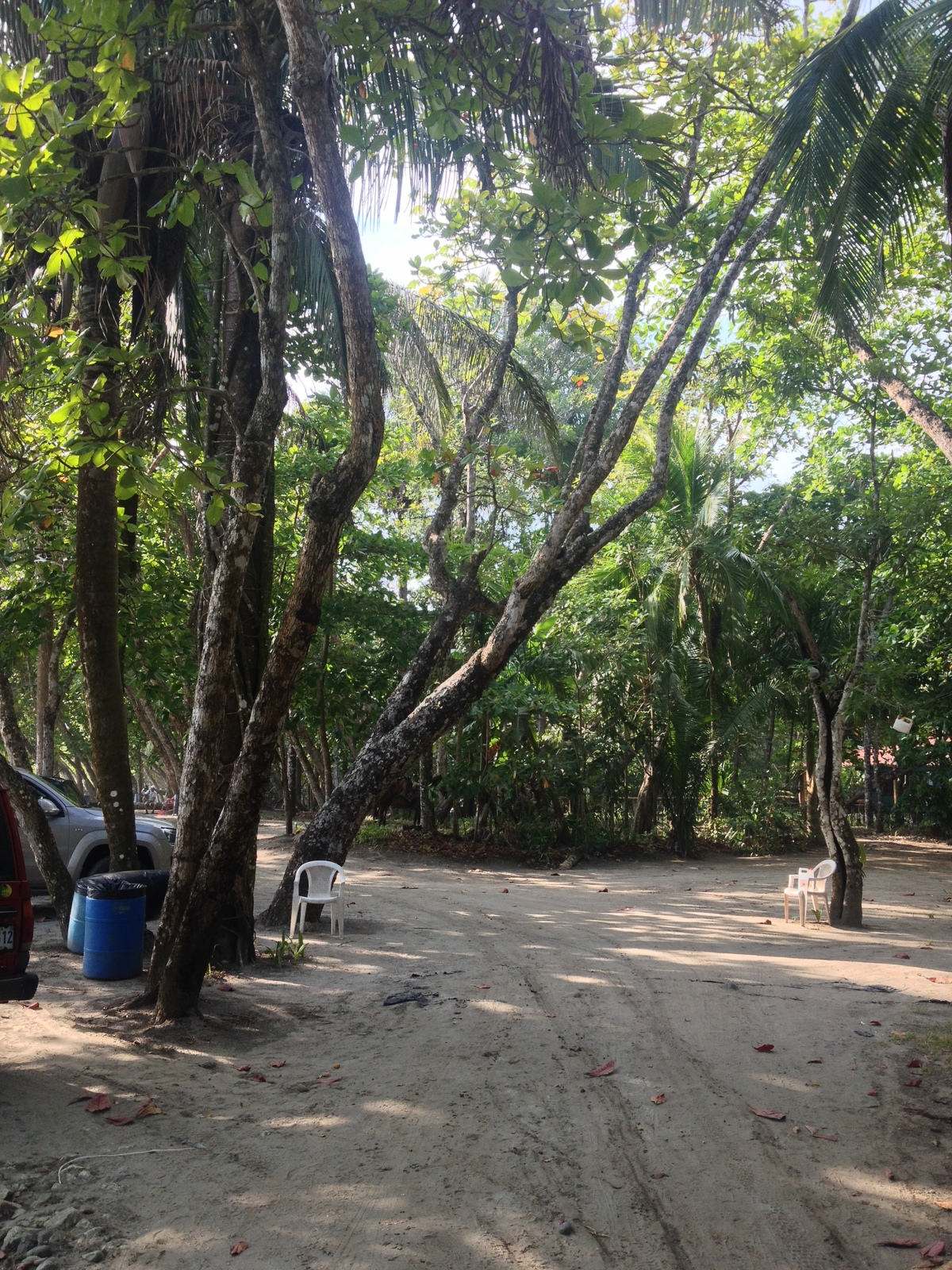 รูปถ่าย คอสตาริกา(Costa Rica) มานวยล์อันโตนีโอ(Manuel Antonio) 2015-03 169