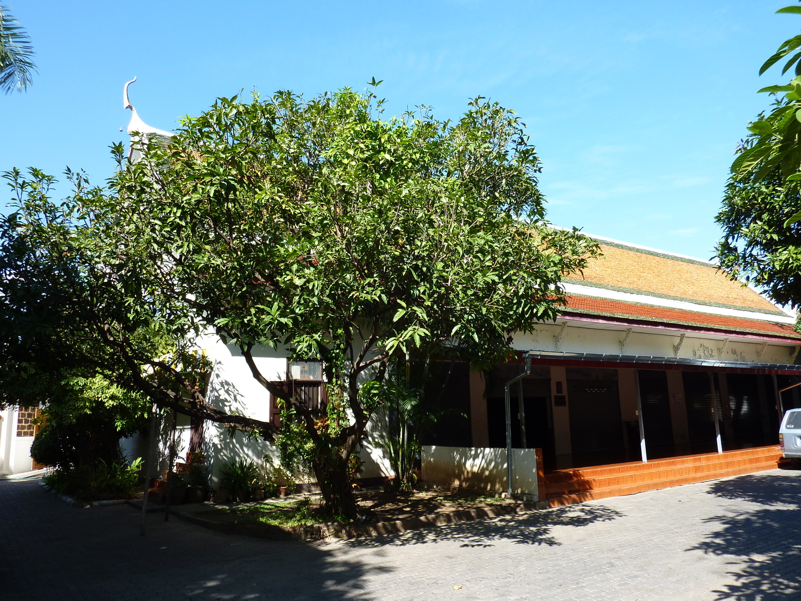 รูปถ่าย ไทย(Thailand) เชียงใหม่(Chiang Mai) ถนนราชดำเนิน(Rachadamnoen road) 2009-12 23