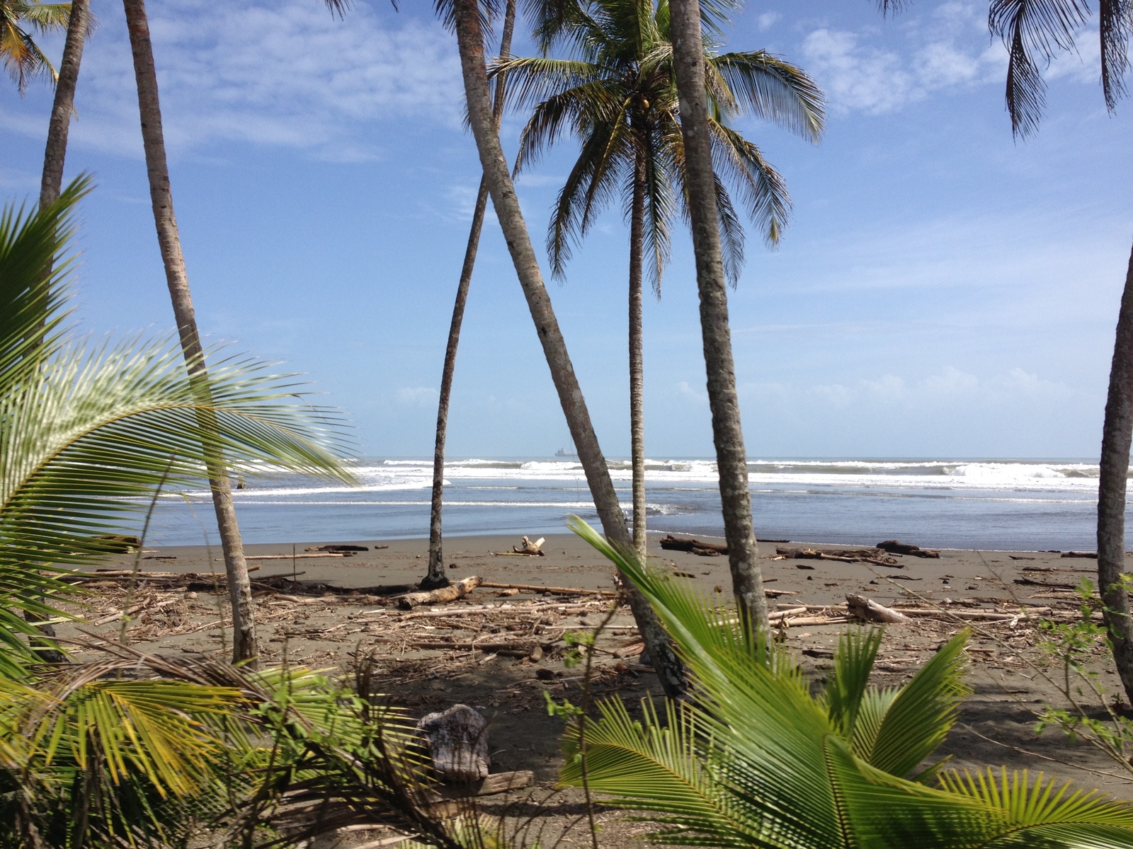 รูปถ่าย คอสตาริกา(Costa Rica) จากลีมอนไปซีกีร์เรส(Limon to Siquirres) 2015-03 0