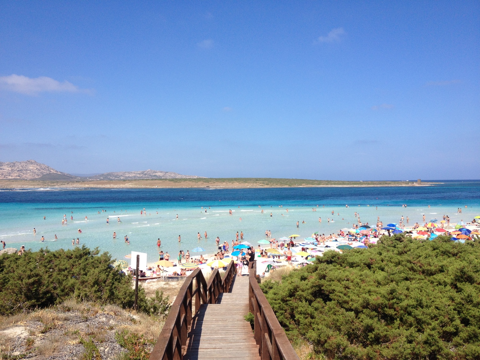รูปถ่าย อิตาลี(Italy) ซาร์ดิเนีย(Sardinia) แหลมกาโปเดลฟัลโกเน(Capo del Falcone) 2015-06 2