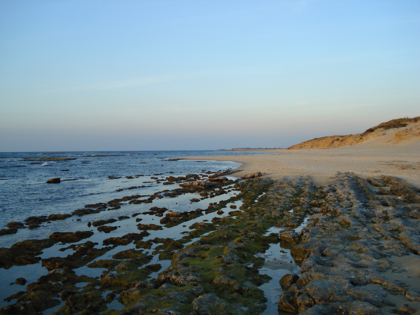 รูปถ่าย อิสราเอล(Israel) จากไฮฟาไปเทลอาวีฟ(From Haifa to Tel Aviv) 2006-12 19
