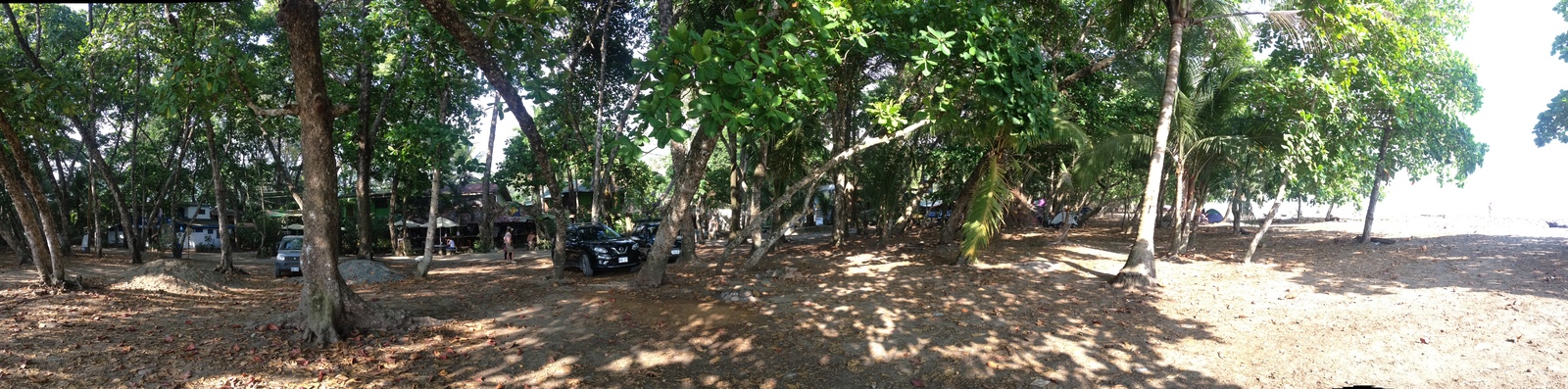 รูปถ่าย คอสตาริกา(Costa Rica) โดมินิกัล(Dominical) 2015-03 95