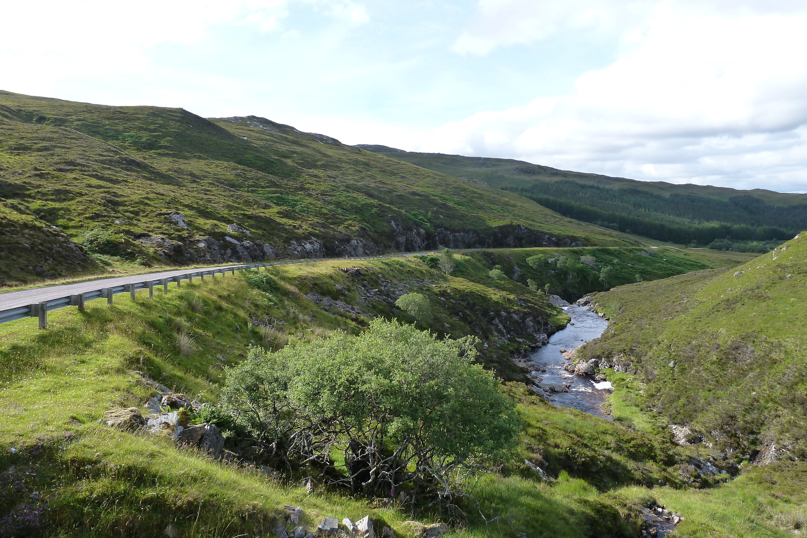 รูปถ่าย อังกฤษ(United Kingdom) เวสเตอร์รอสส์(Wester Ross) 2011-07 59