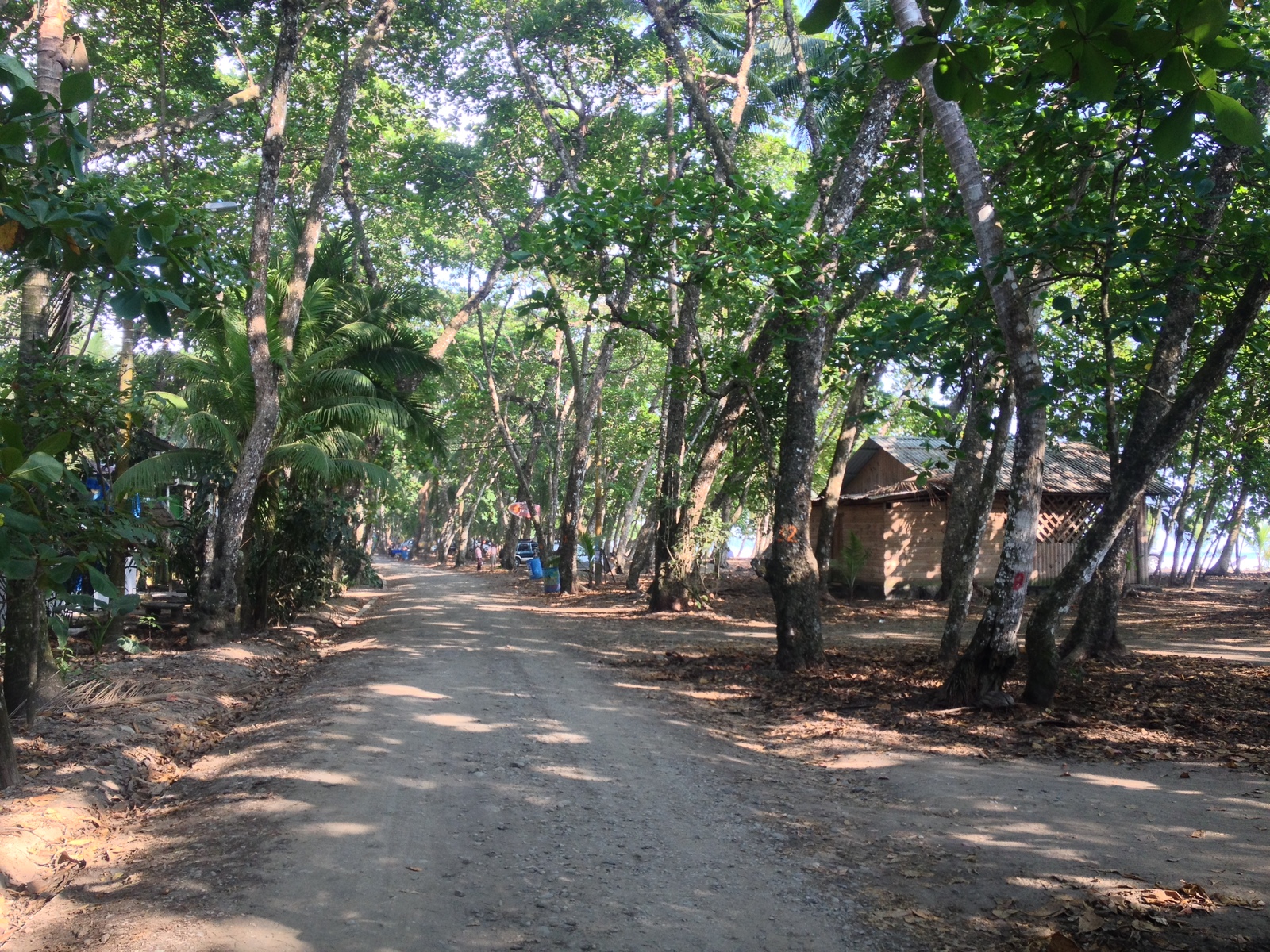 รูปถ่าย คอสตาริกา(Costa Rica) โดมินิกัล(Dominical) 2015-03 104