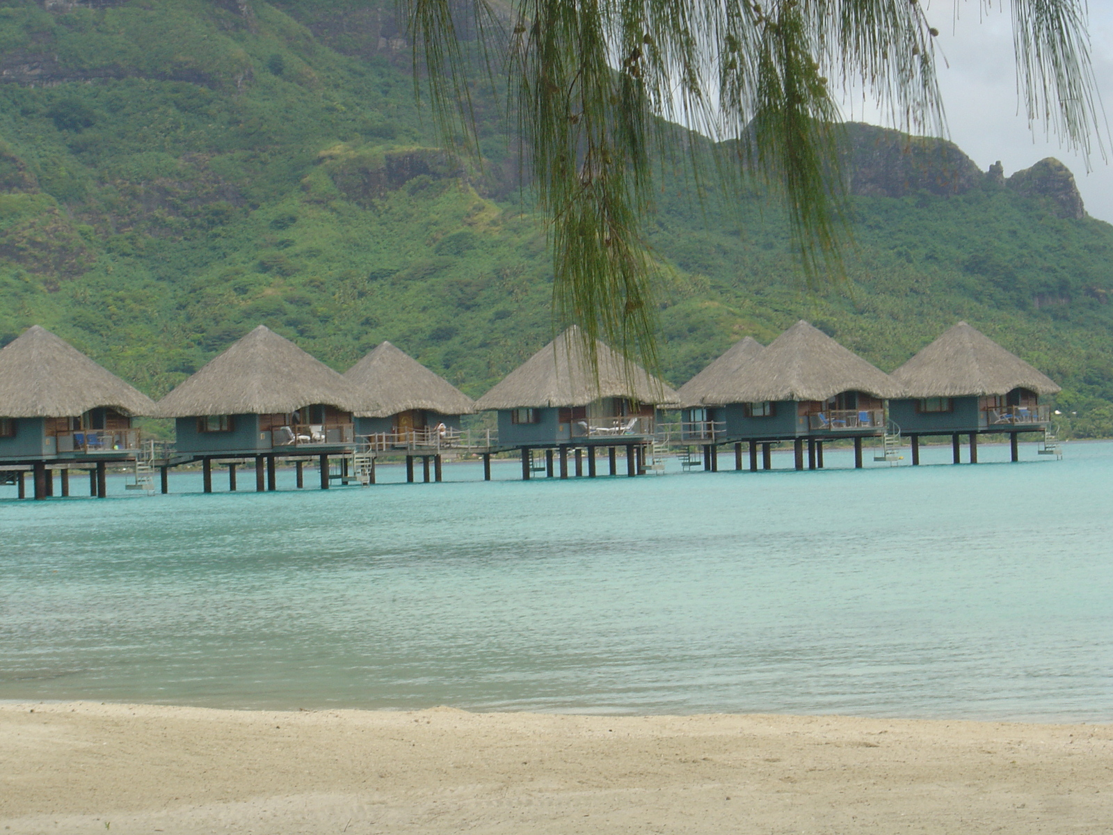 รูปถ่าย เฟรนช์โพลี่นีเซีย(Polynesia) โรงแรมเลอเมอริเดียน โบราโบรา(Meridien Bora Bora Hotel) 2006-04 204