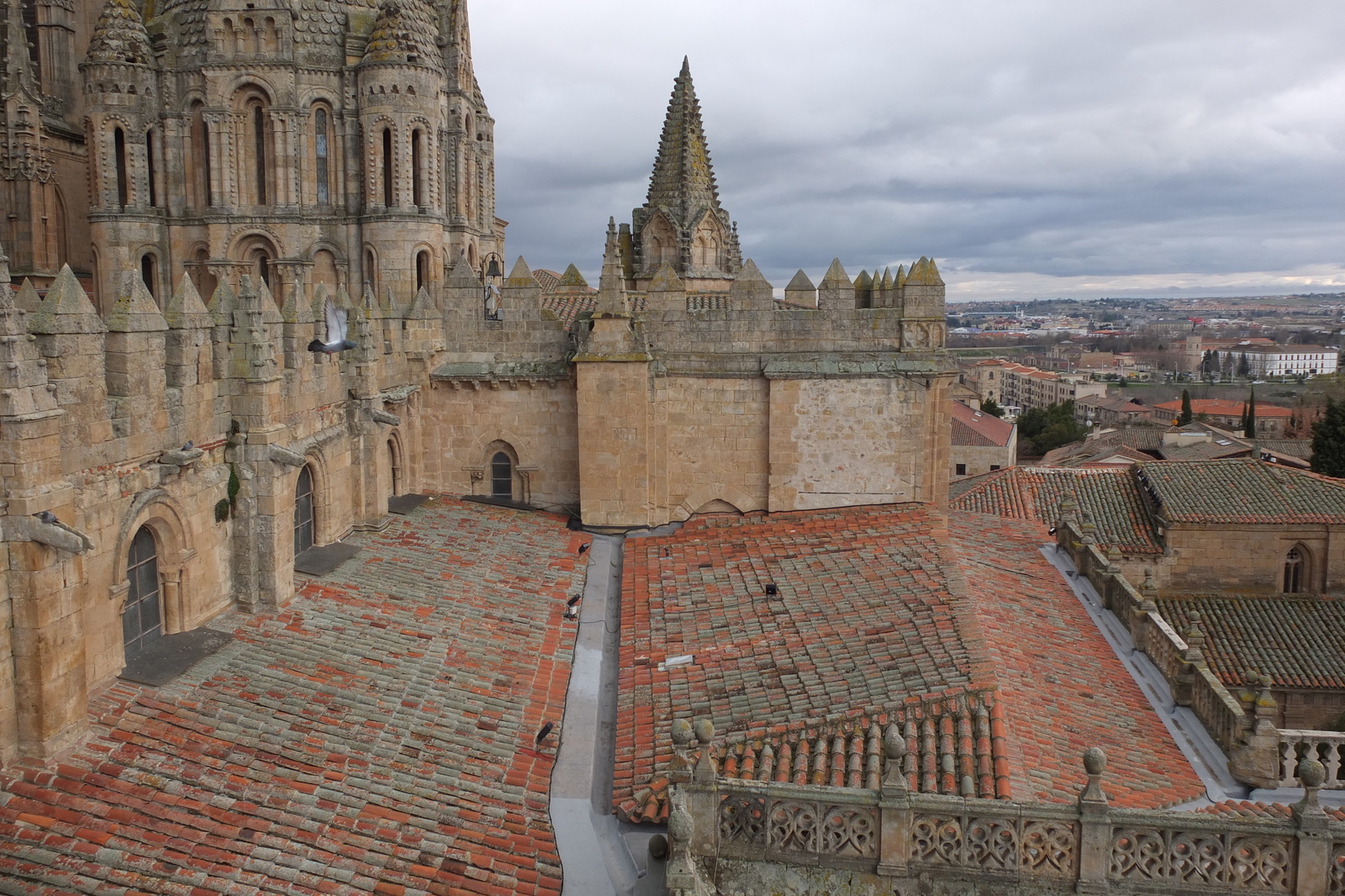 รูปถ่าย สเปน(Spain) ซาลามังกา(Salamanca) 2013-01 97