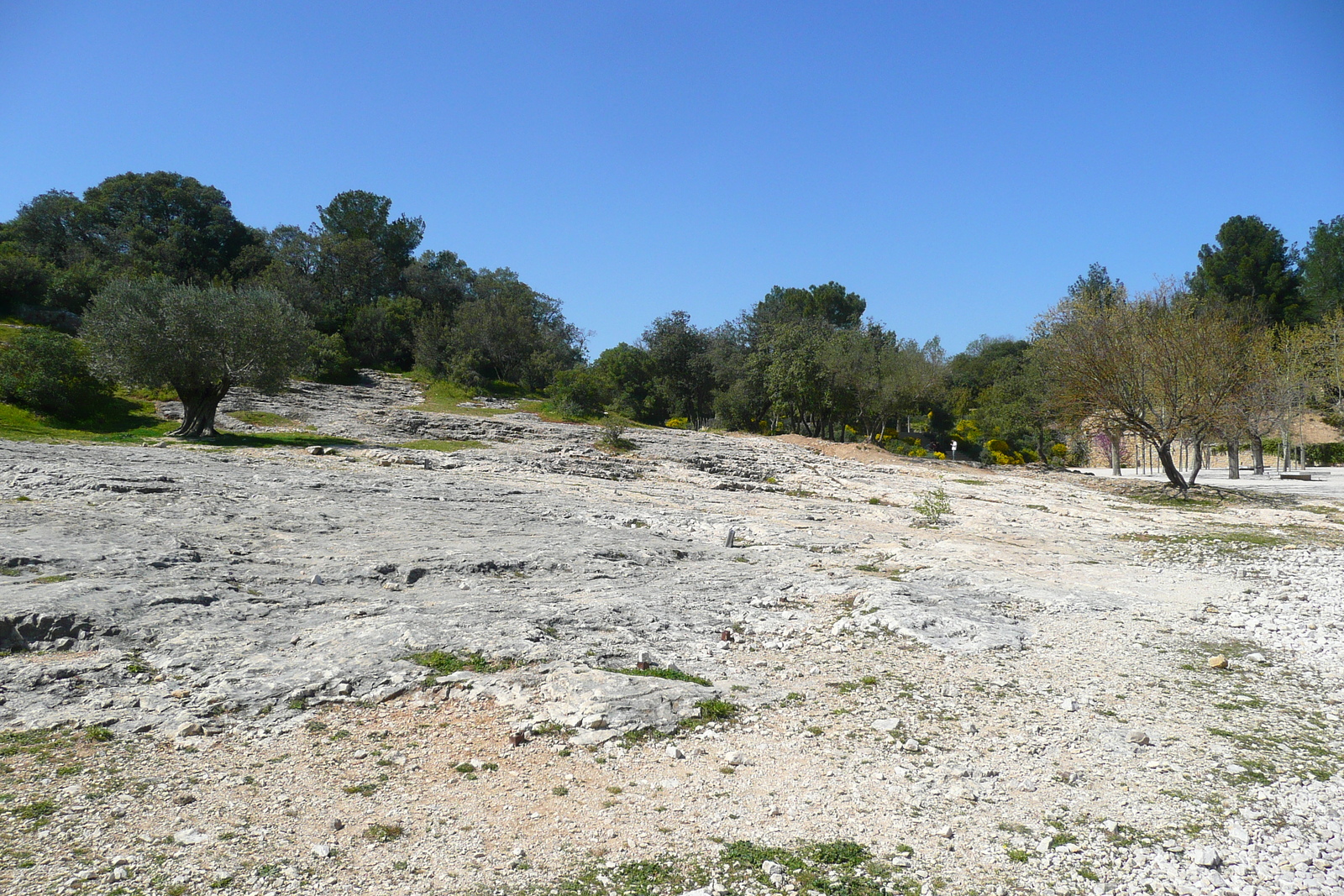 รูปถ่าย ฝรั่งเศส(France) สะพานปงดูการ์(Pont du Gard) 2008-04 85
