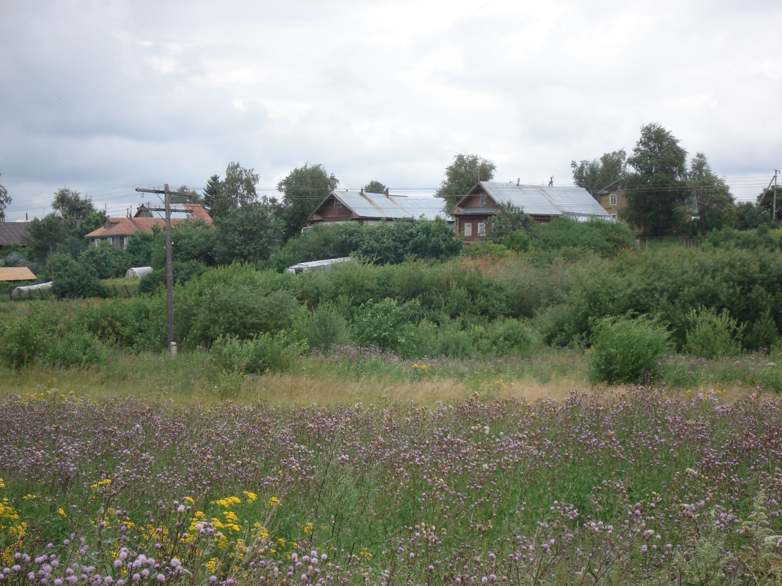 รูปถ่าย รัสเซีย(Russia) จากยาโรสลาฟล์ไปเซนต์ปีเตอร์สเบิร์ก(From Yaroslavl to St Petersburg) 2006-07 69
