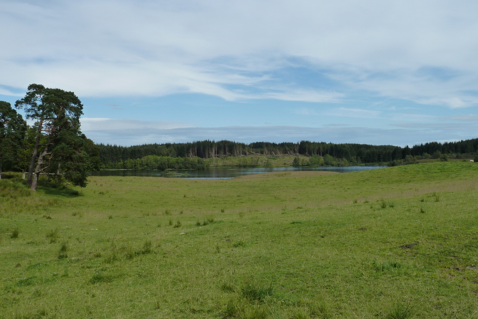 รูปถ่าย อังกฤษ(United Kingdom) ทรอสซักส์(The Trossachs) 2011-07 2