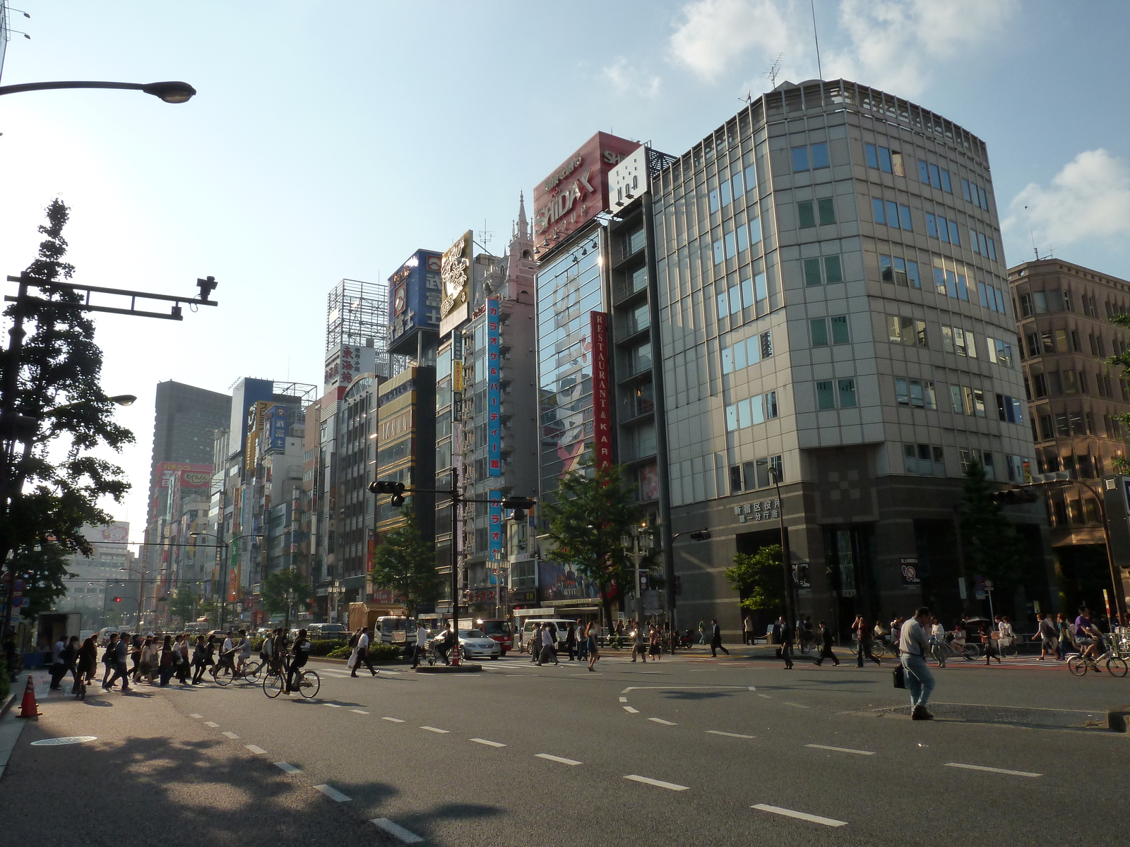 รูปถ่าย ญี่ปุ่น(Japan) โตเกียว(Tokyo) ชินจูกุ(Shinjuku) 2010-06 59