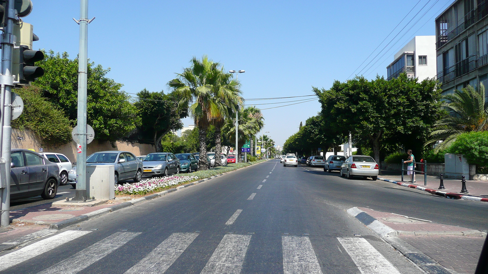รูปถ่าย อิสราเอล(Israel) เทลอาวีฟ(Tel Aviv) ถนนอิบน์กบีรอล(Ibn Gvirol Street) 2007-06 10