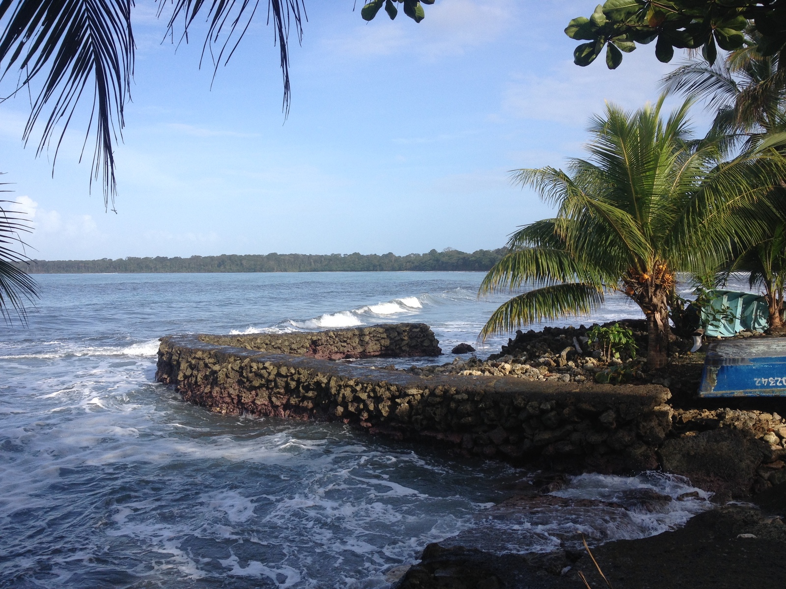 รูปถ่าย คอสตาริกา(Costa Rica) กาอุยตา(Cahuita) 2015-03 73