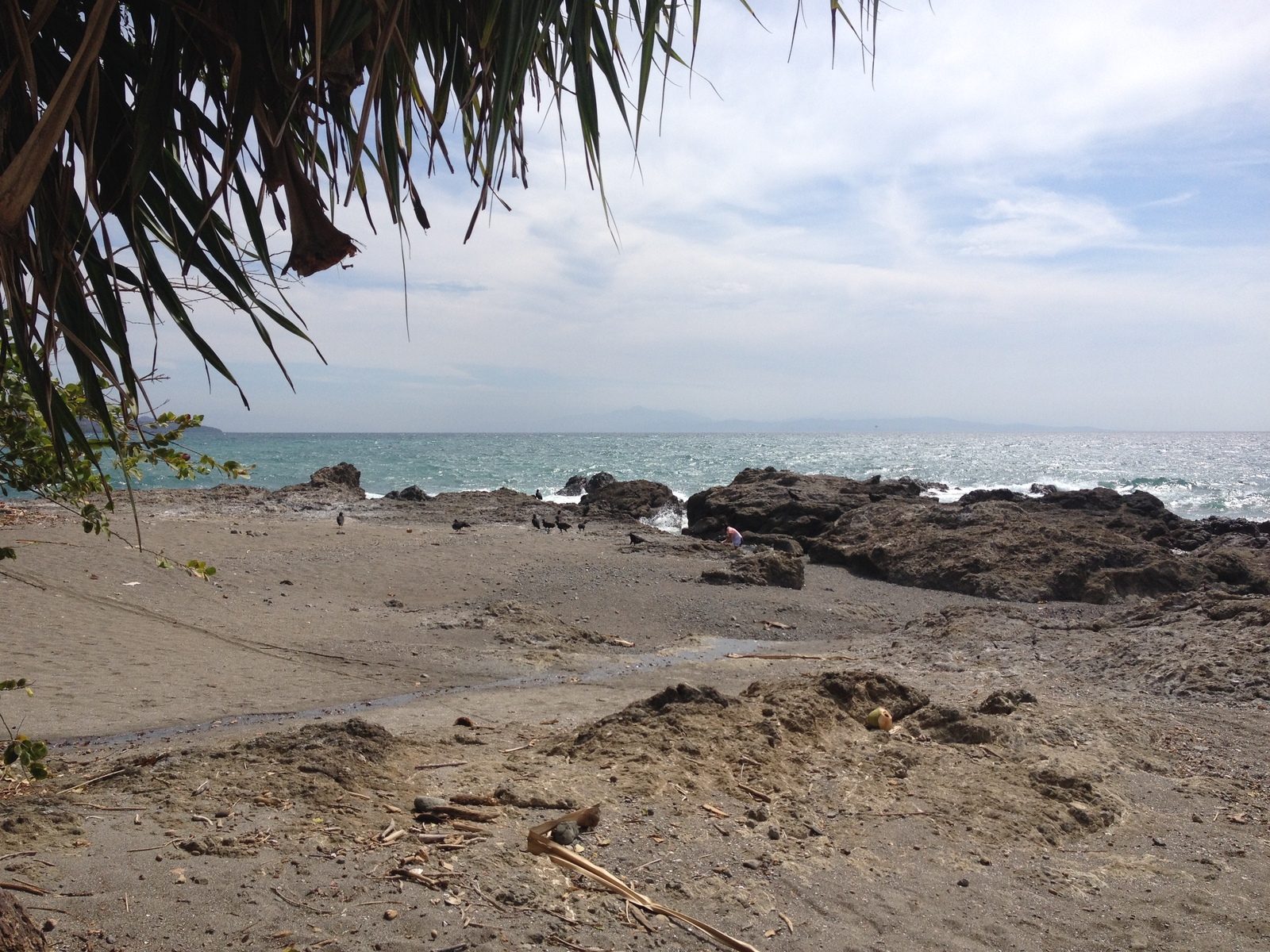 รูปถ่าย คอสตาริกา(Costa Rica) มอนเตซูมา(Montezuma) 2015-03 417