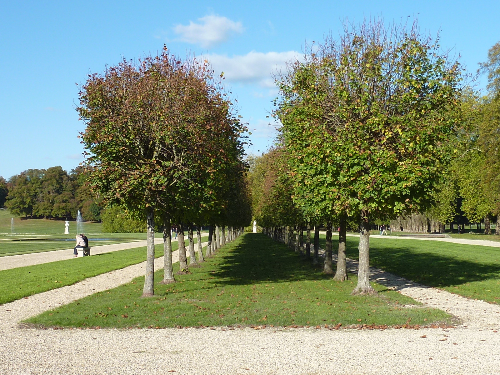 รูปถ่าย ฝรั่งเศส(France) ช็องตีญี(Chantilly) 2009-10 113