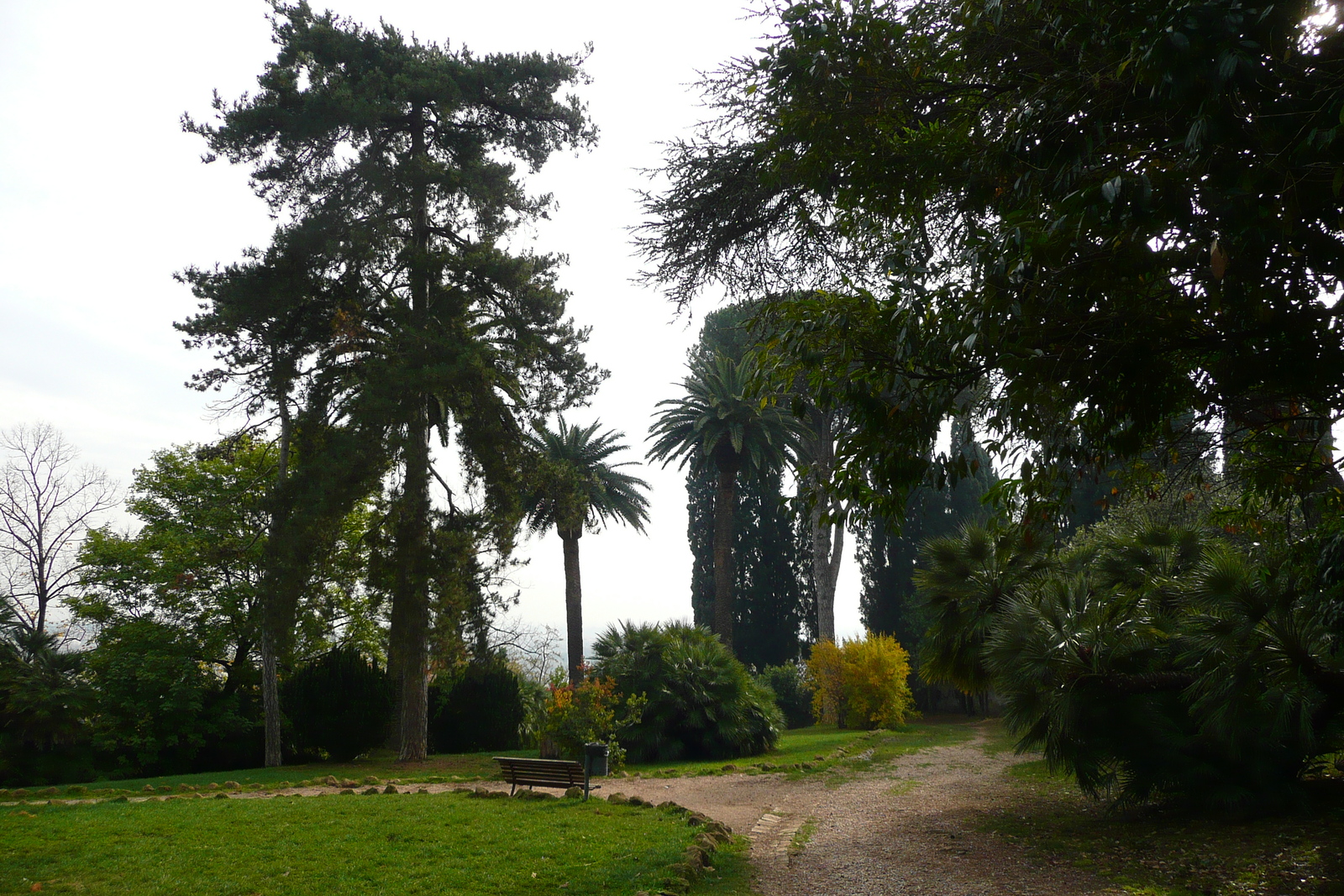 รูปถ่าย อิตาลี(Italy) โรม(Rome) วิลลาชาร์รา(Villa Sciarra) 2007-11 26