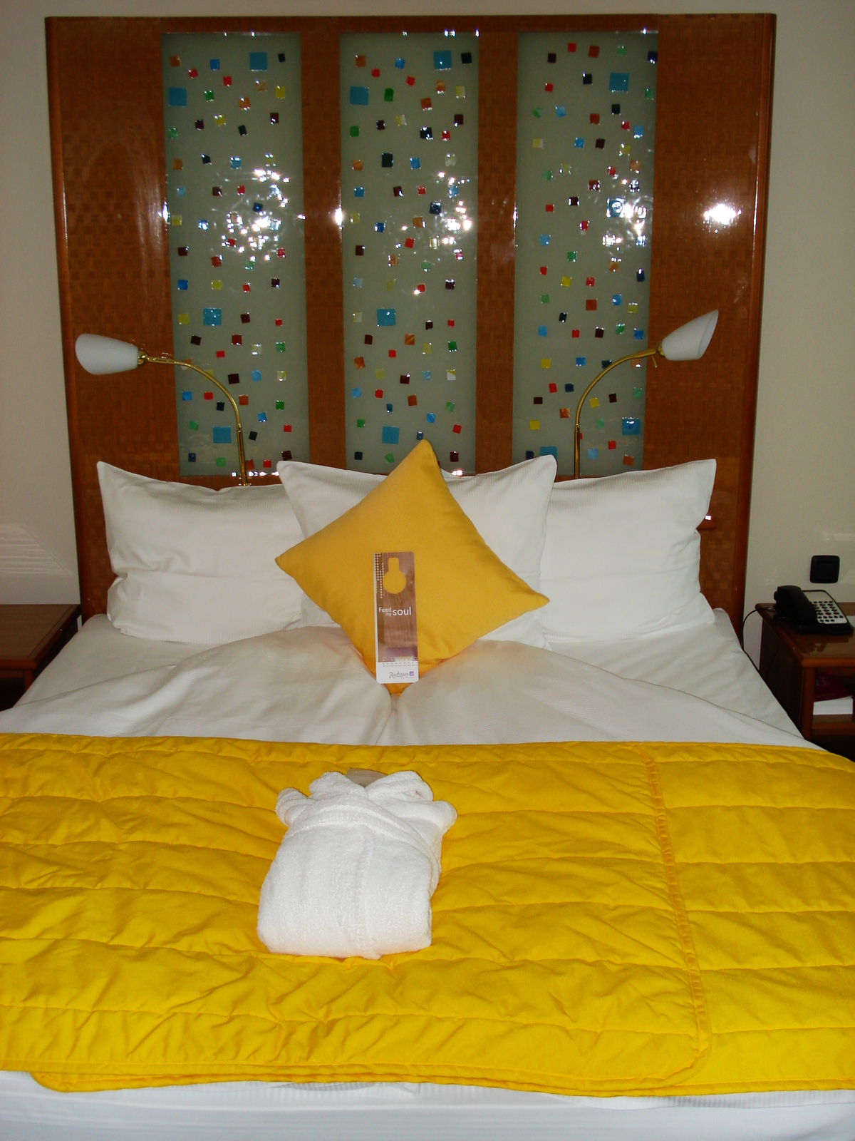 รูปถ่าย ยูเครน(Ukraine) เคียฟ(Kiev) โรงแรมแรดิสัน เคียฟ(Radisson Kiev Hotel) 2007-03 8