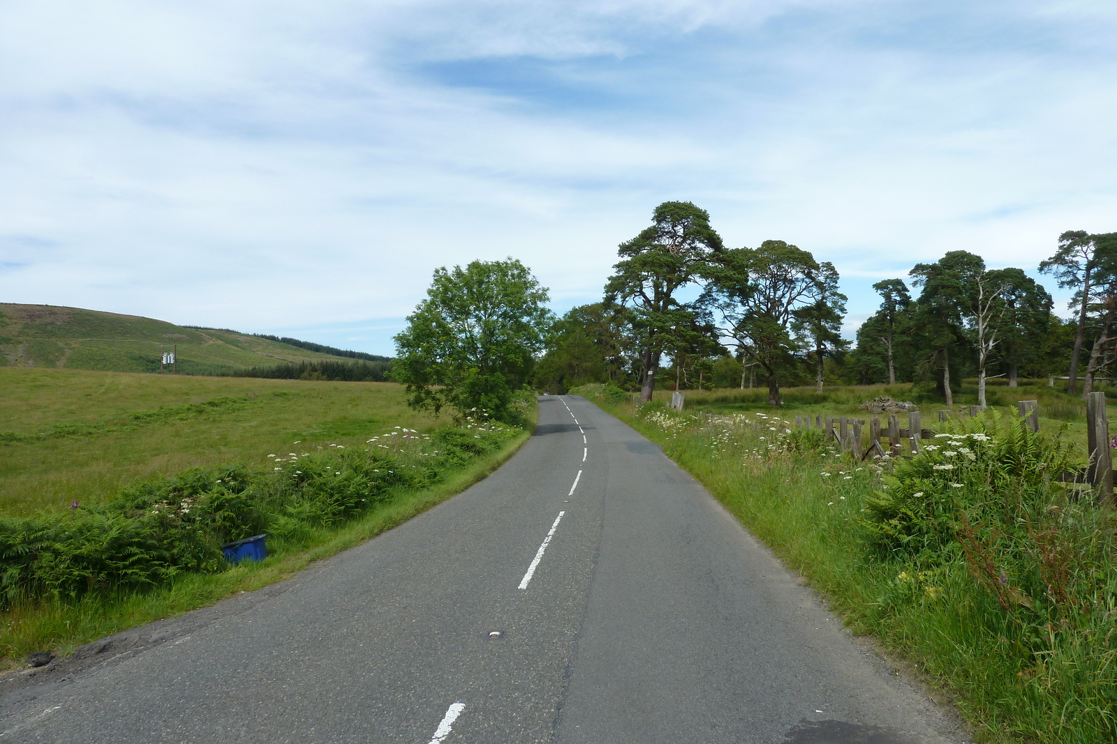 รูปถ่าย อังกฤษ(United Kingdom) ทรอสซักส์(The Trossachs) 2011-07 5