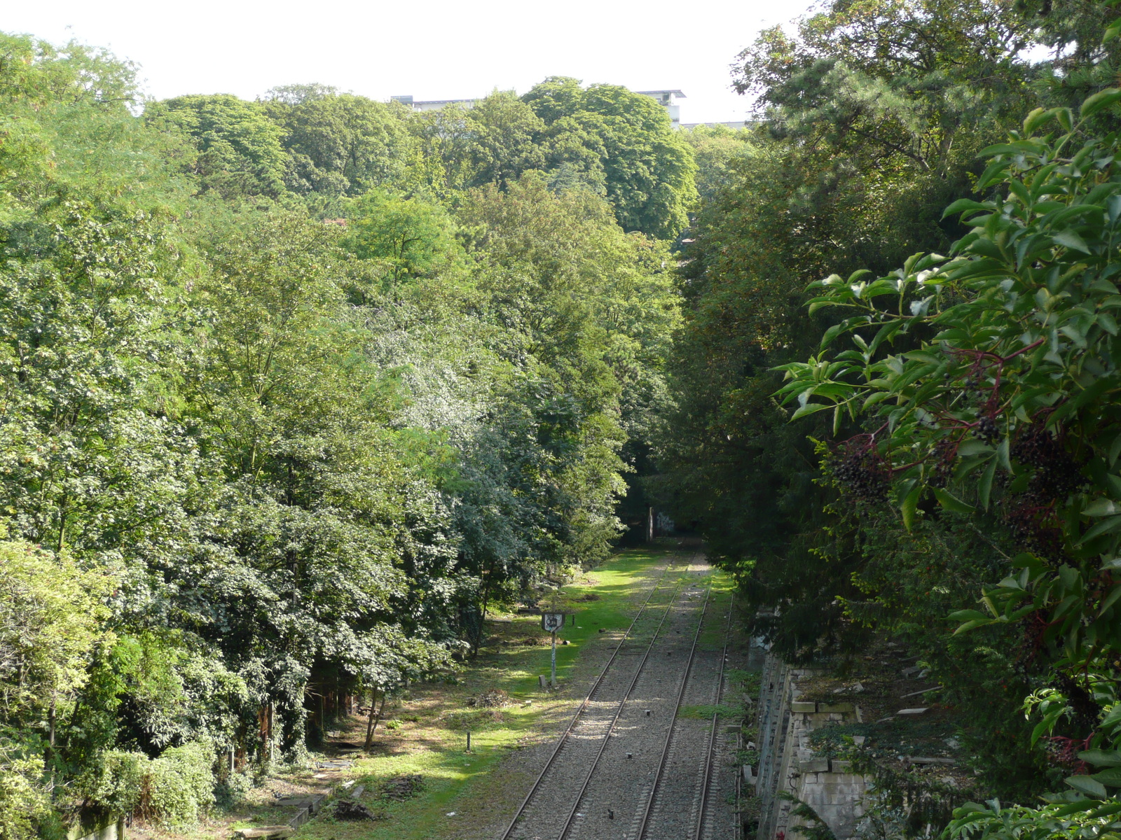 รูปถ่าย ฝรั่งเศส(France) ปารีส(Paris) สวนบุต-โชมง(Parc des Buttes Chaumont) 2007-08 238