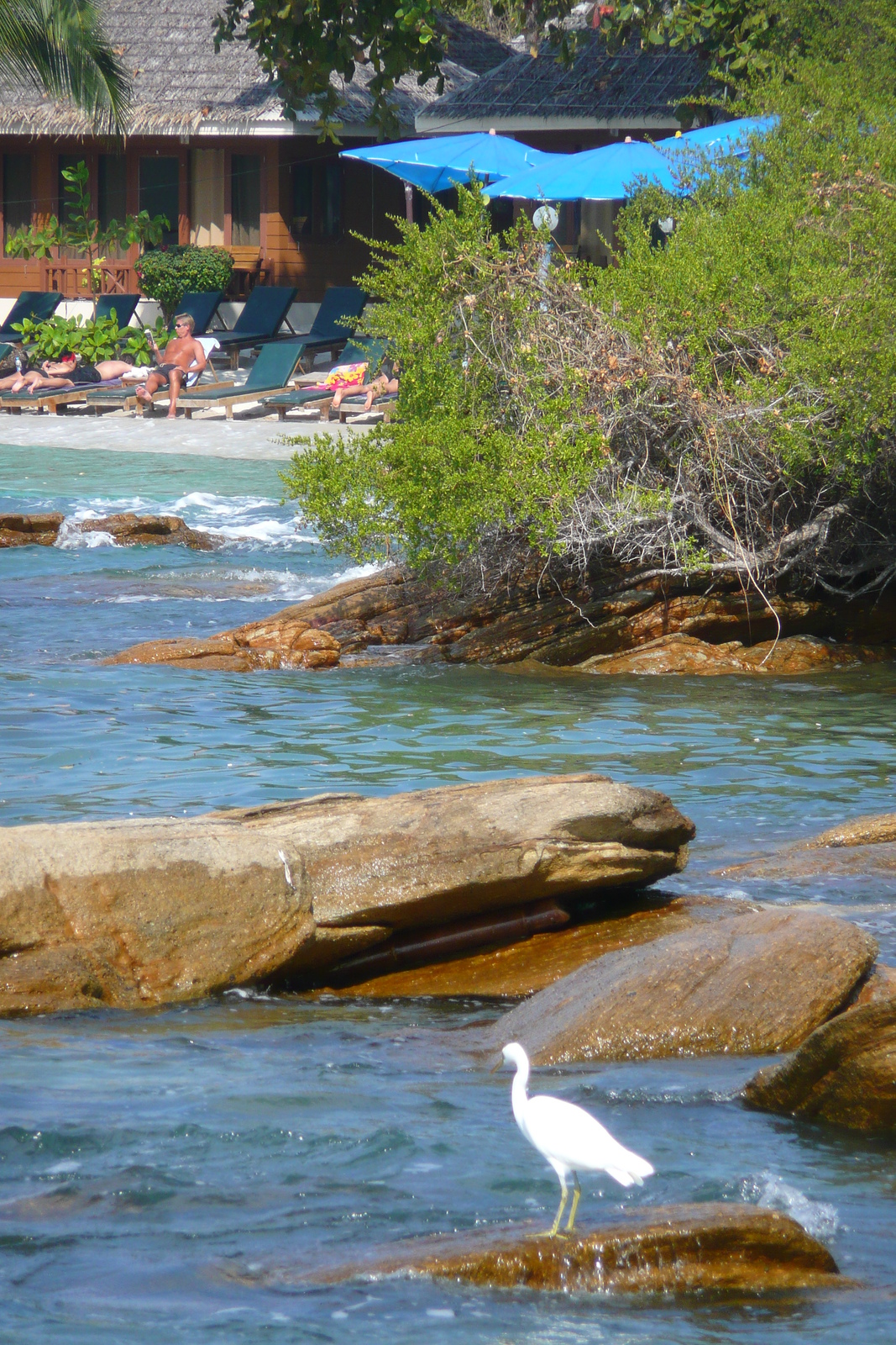 รูปถ่าย ไทย(Thailand) เกาะเสม็ด(Ko Samet) อ่าววงเดือน(Ao Wong Duan) 2009-01 11