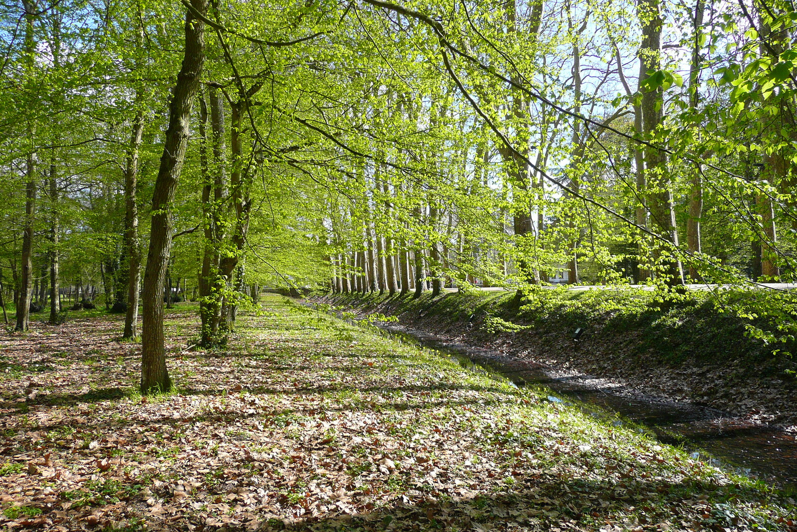 รูปถ่าย ฝรั่งเศส(France) ปราสาทเชอนงโซ(Chenonceau Castle) สวนปราสาทเชอนงโซ(Gardens of Chenonceau) 2008-04 23
