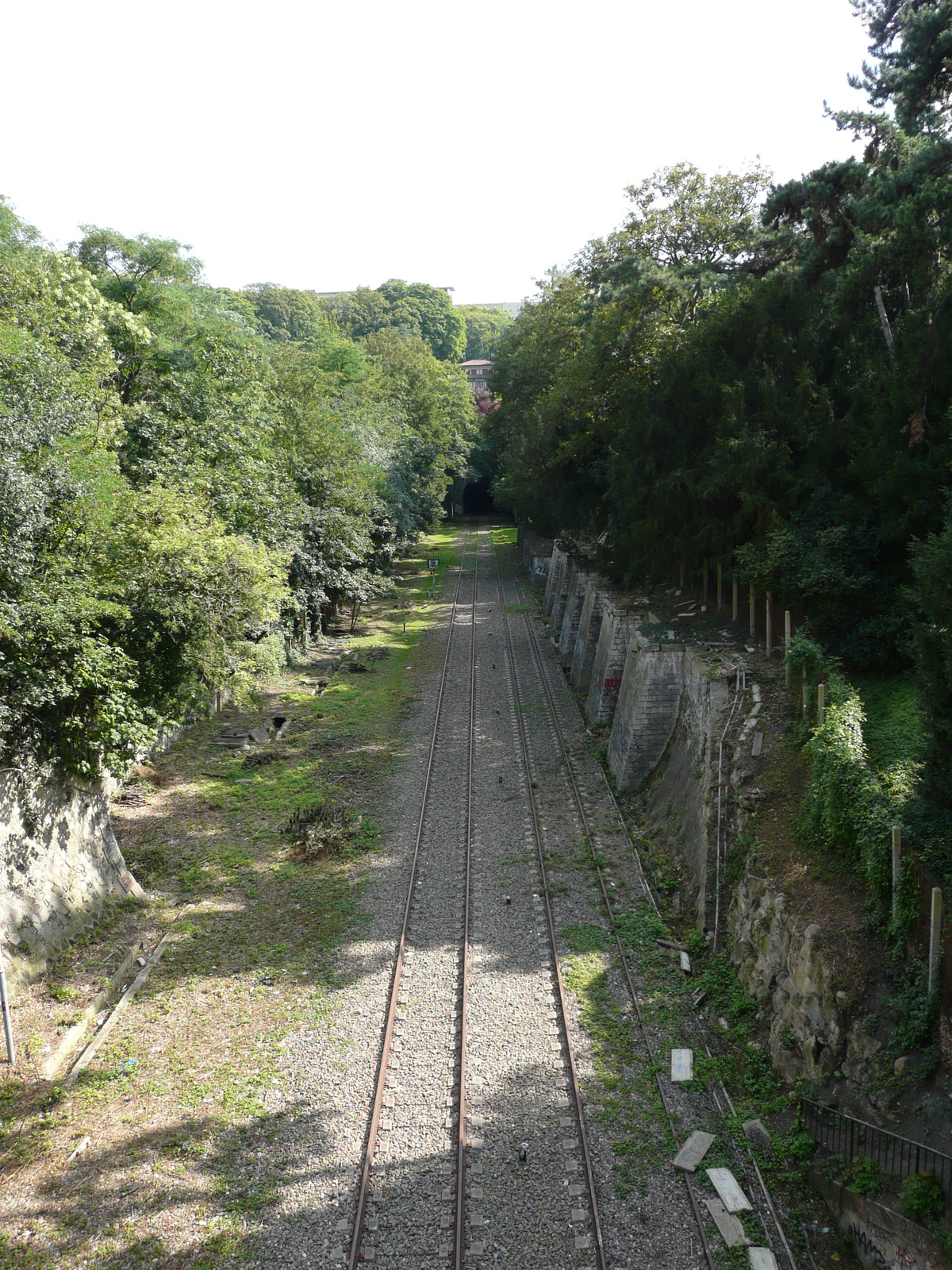 รูปถ่าย ฝรั่งเศส(France) ปารีส(Paris) สวนบุต-โชมง(Parc des Buttes Chaumont) 2007-08 195