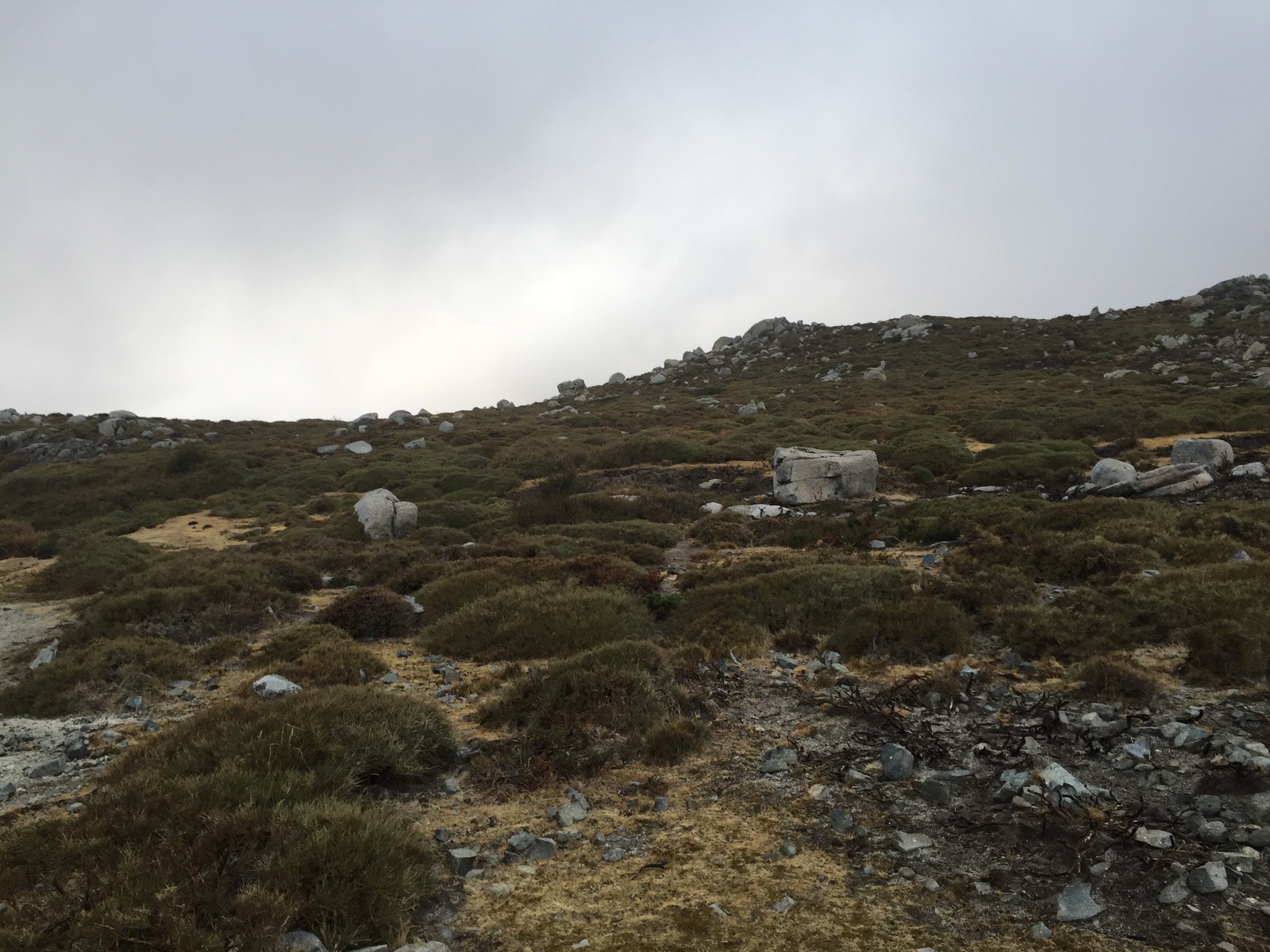 รูปถ่าย ฝรั่งเศส(France) คอร์สิคา(Corsica) อัลตาร็อกกา(Alta Rocca) 2017-09 24