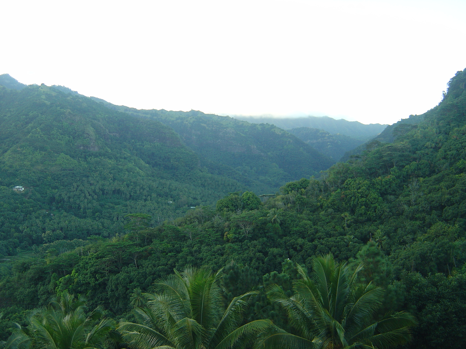 รูปถ่าย เฟรนช์โพลี่นีเซีย(Polynesia) หมู่เกาะมาร์เคซัส(Marquises) 2006-04 220