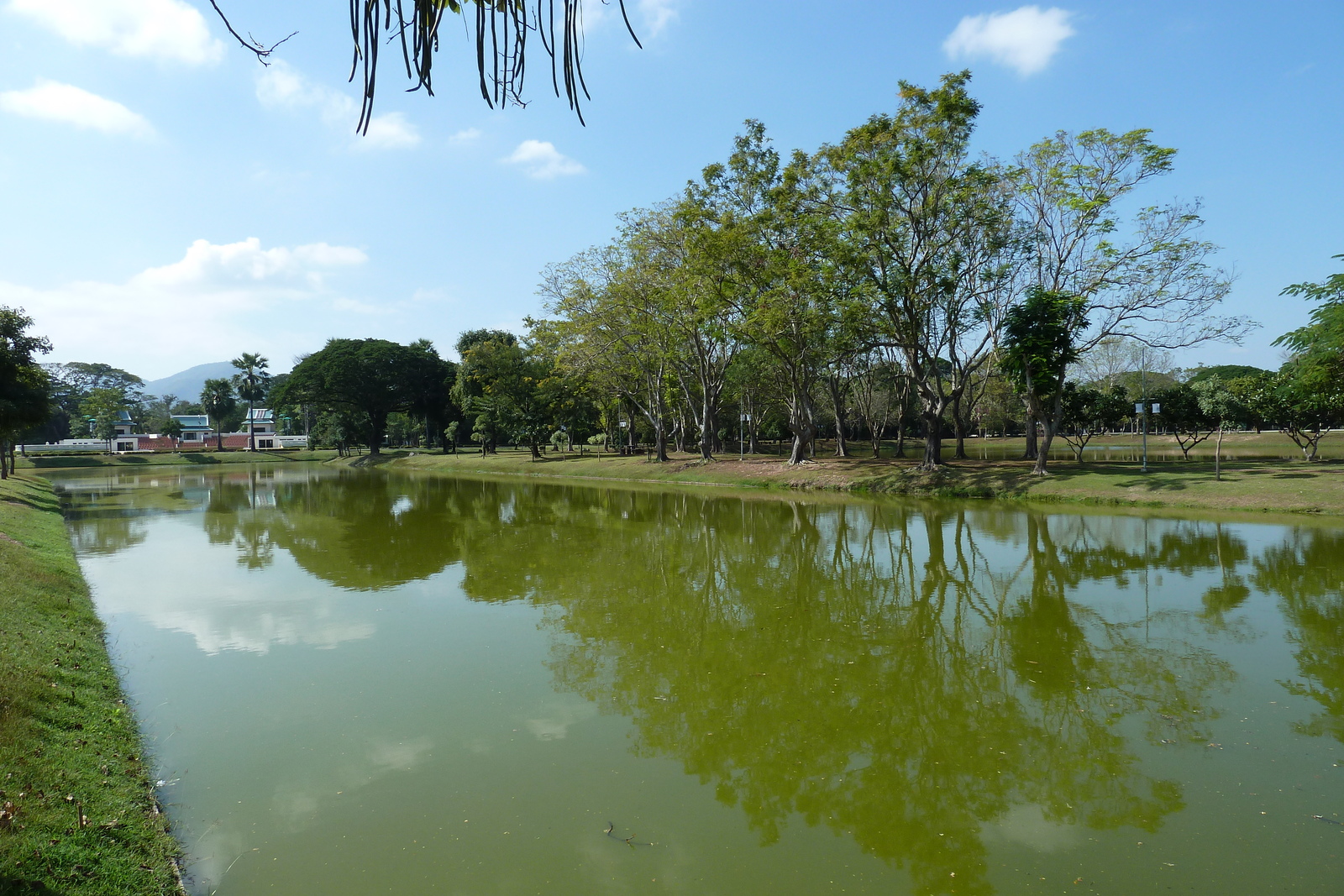 รูปถ่าย ไทย(Thailand) สุโขทัย(Sukhothai) 2010-12 165