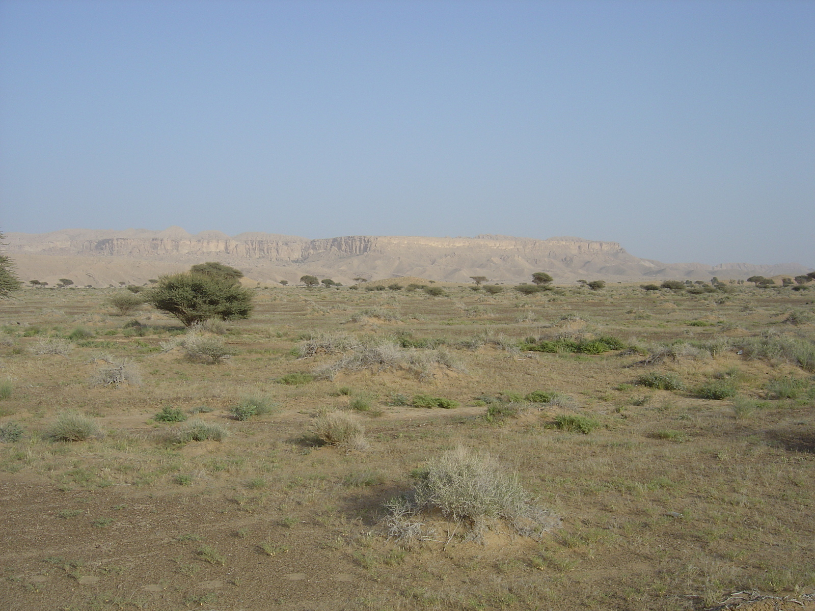 รูปถ่าย โอมาน(Oman) จากบูไมิไปถนนมาฮาดา(Buraimi to Mahada road) 2005-03 2