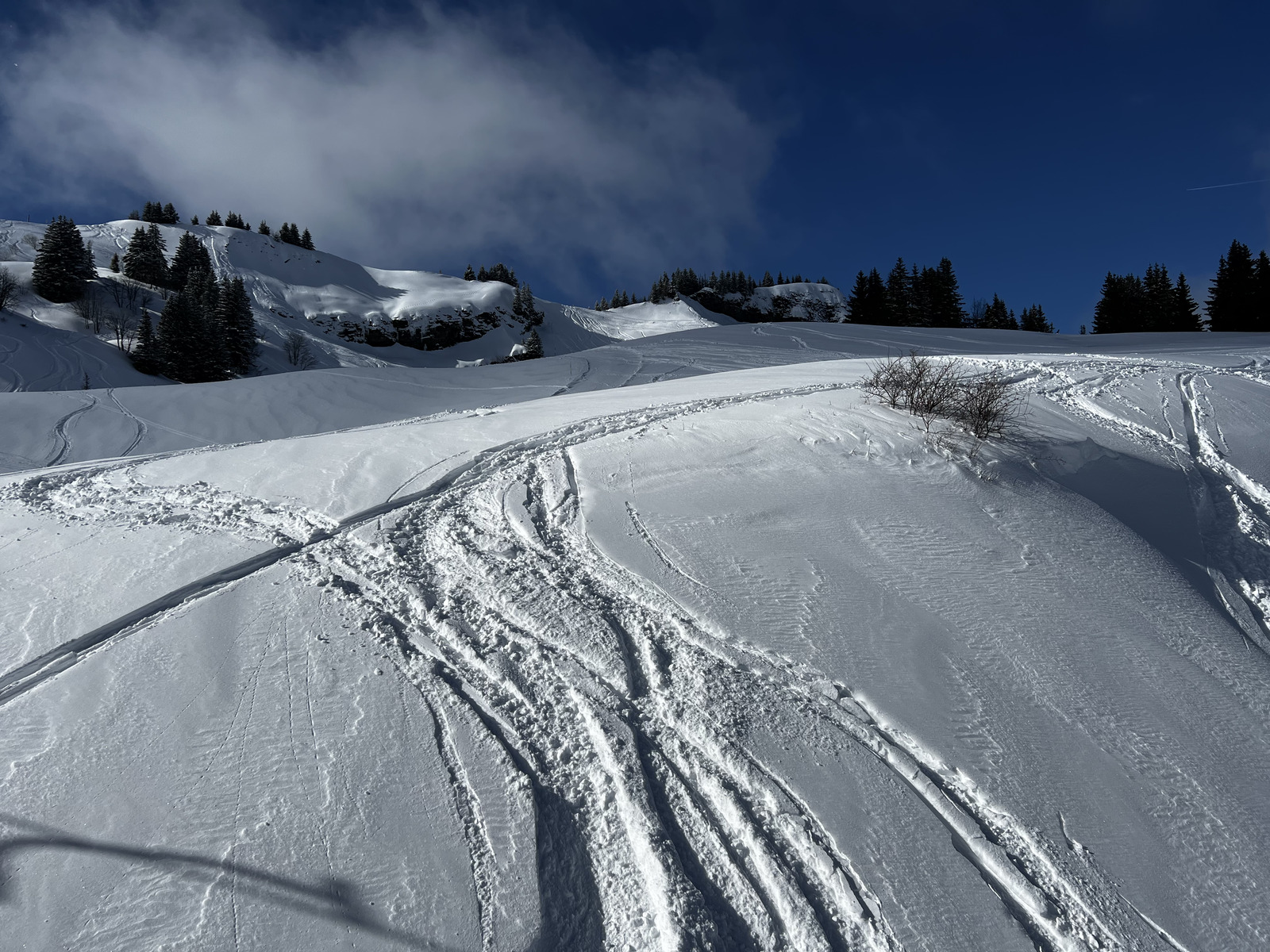 รูปถ่าย ฝรั่งเศส(France) เมแฌฟว์(Megeve) 2022-02 136