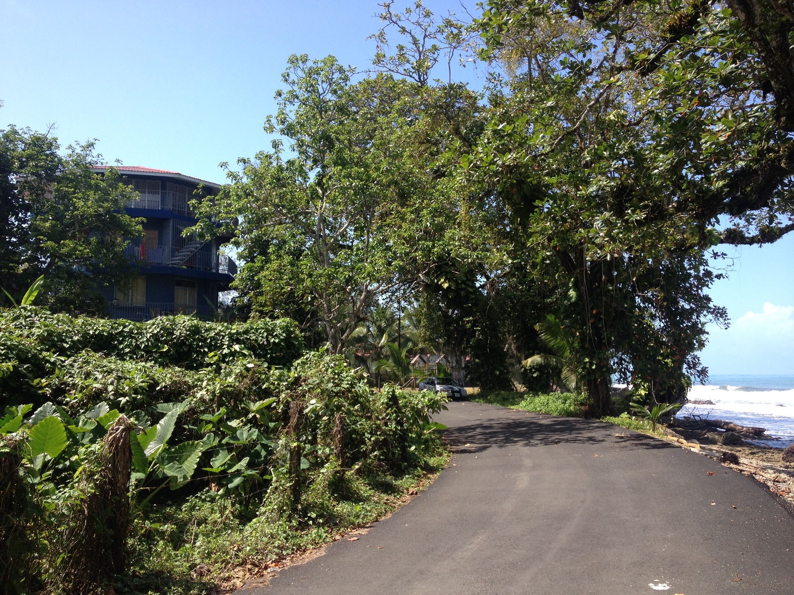 รูปถ่าย คอสตาริกา(Costa Rica) กาอุยตา(Cahuita) 2015-03 253