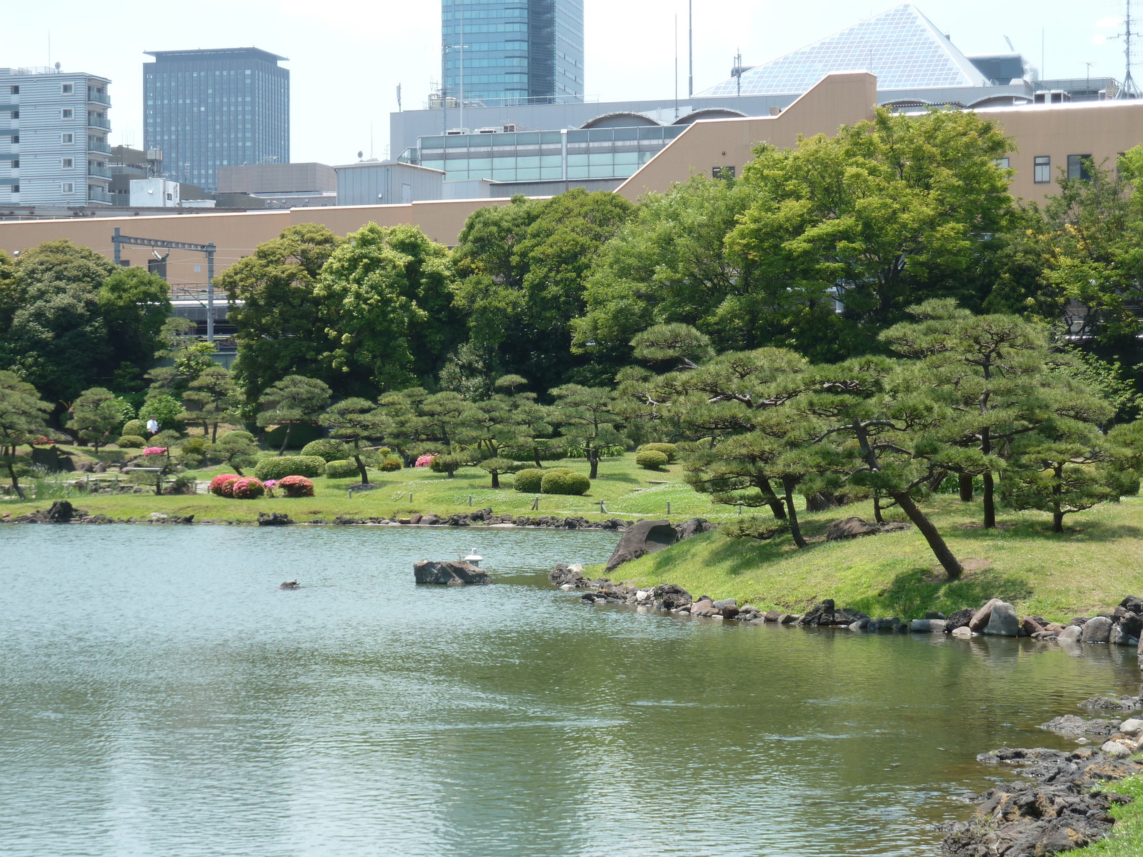 รูปถ่าย ญี่ปุ่น(Japan) โตเกียว(Tokyo) สวนคิวชิบะริคิว(Kyu Shiba rikyu Gardens) 2010-06 59