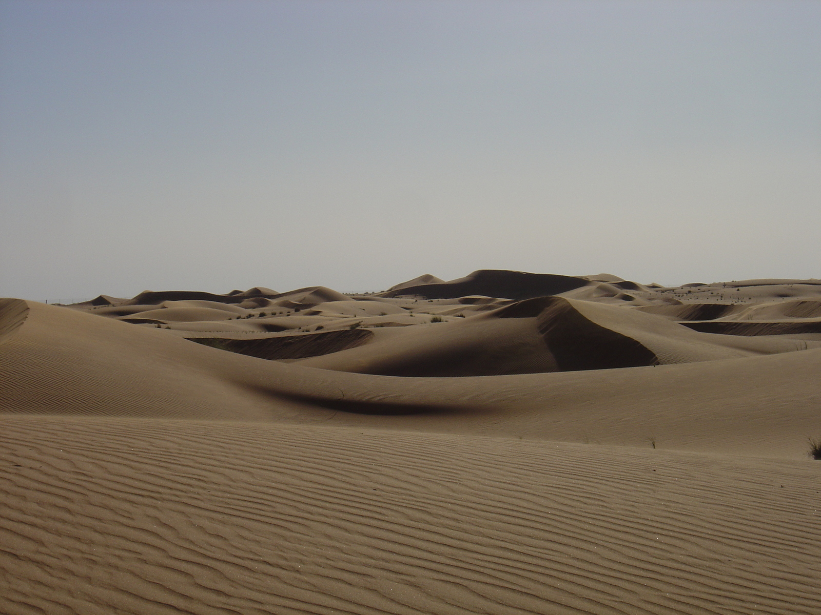รูปถ่าย สหรัฐอาหรับเอมิเรตส์(United Arab Emirates) จากดูไบไปถนนอัลอิน(Dubai to Al Ain road) 2005-03 36