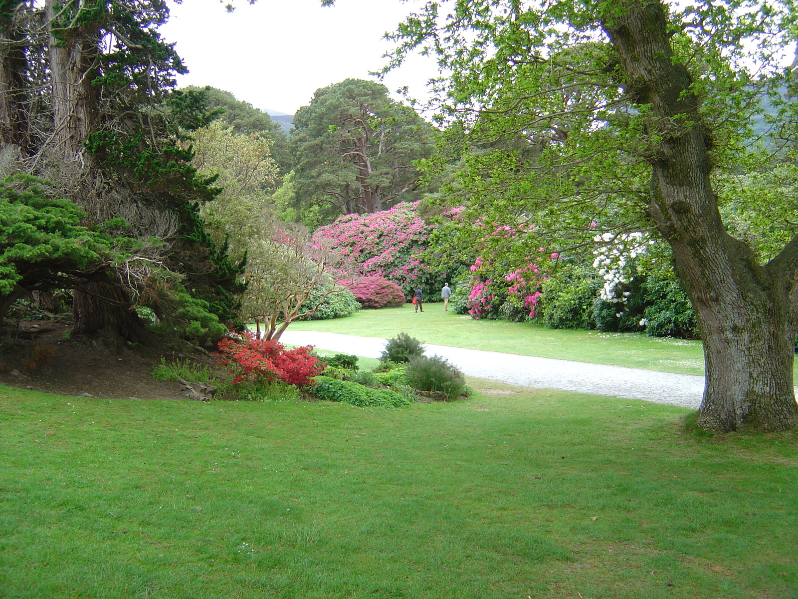 รูปถ่าย ไอร์แลนด์(Ireland) เคอร์รี่(Kerry) สวนสาธารณะคิลลาร์นีย์เนชั่นเนล(Killarney National Park) บ้านมัครอส(Muckross House) 2004-05 18