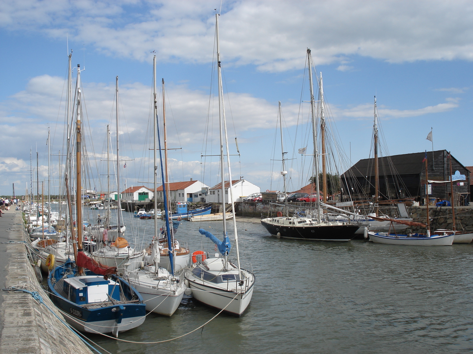 รูปถ่าย ฝรั่งเศส(France) นีวร์มูทีเย(Noirmoutier) 2006-08 73