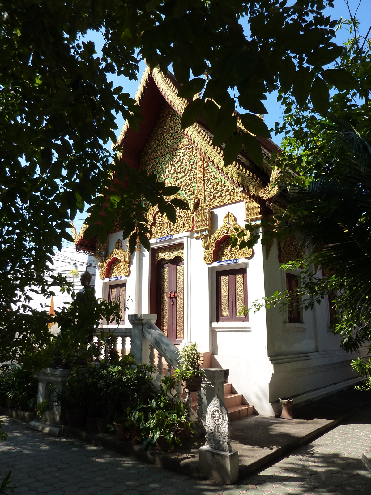 รูปถ่าย ไทย(Thailand) เชียงใหม่(Chiang Mai) ถนนราชดำเนิน(Rachadamnoen road) 2009-12 8