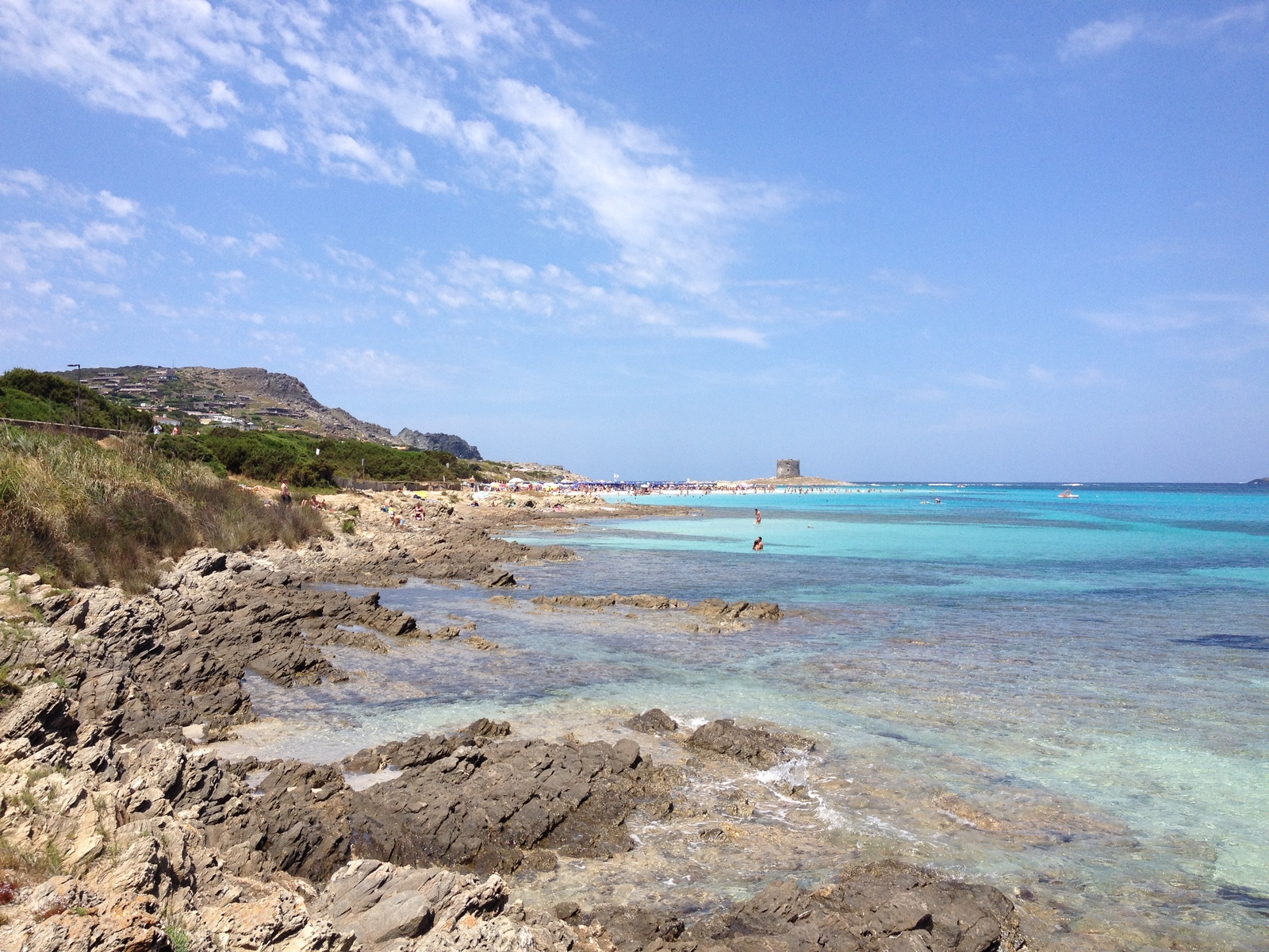 รูปถ่าย อิตาลี(Italy) ซาร์ดิเนีย(Sardinia) แหลมกาโปเดลฟัลโกเน(Capo del Falcone) 2015-06 28